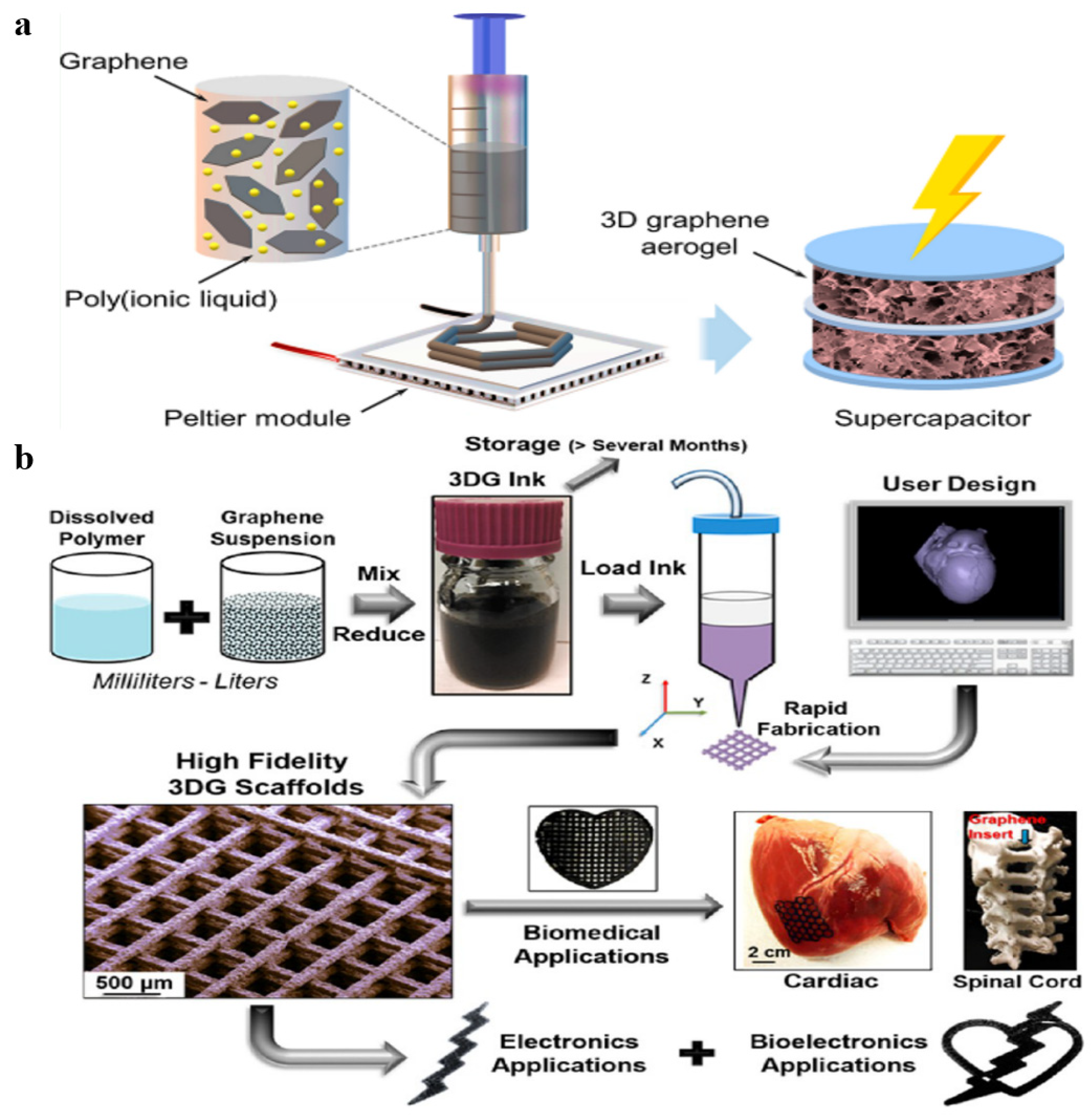 Polymers 15 01888 g010 Polymers 15 01888 g010