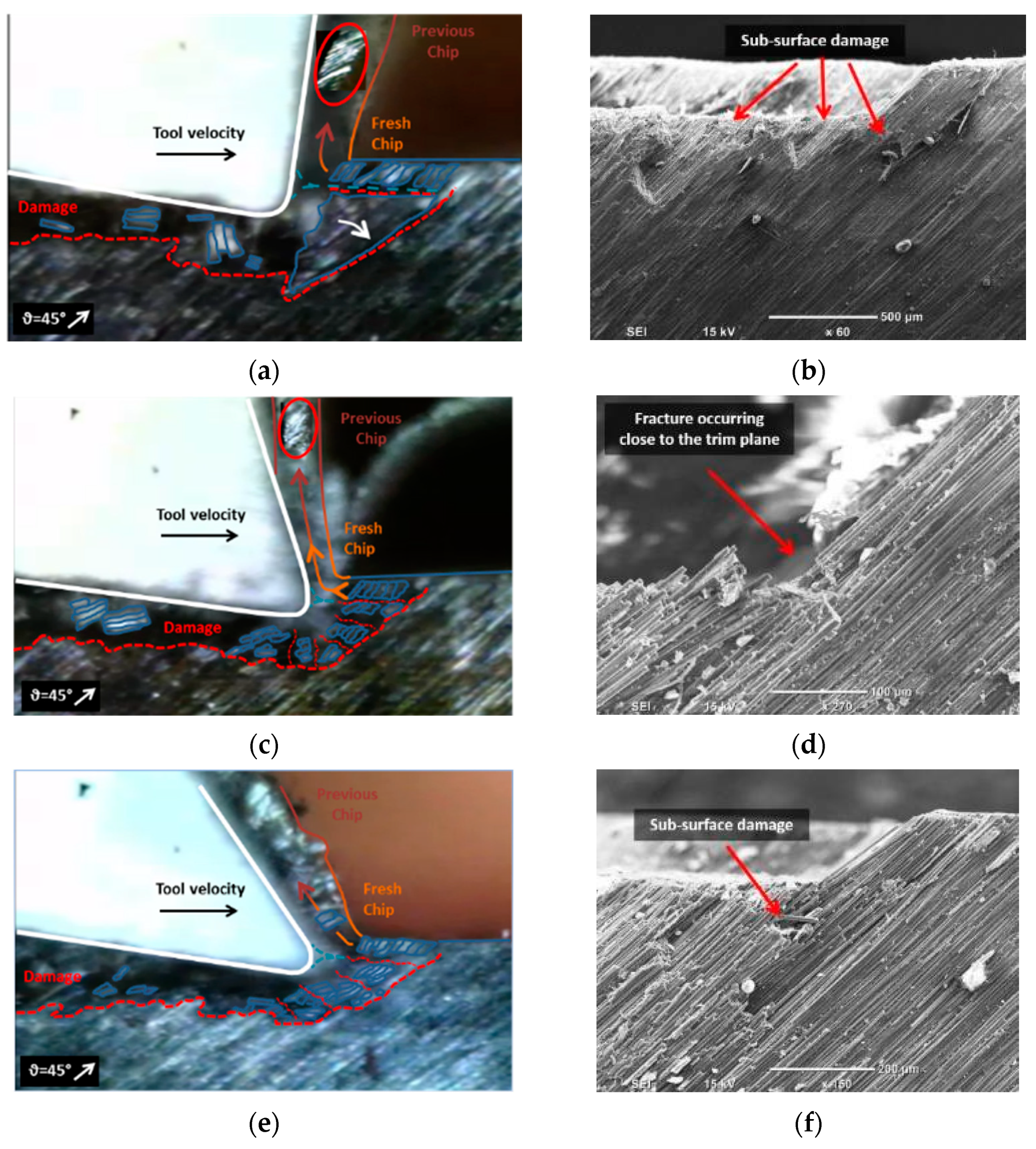 Polymers 15 01897 g010