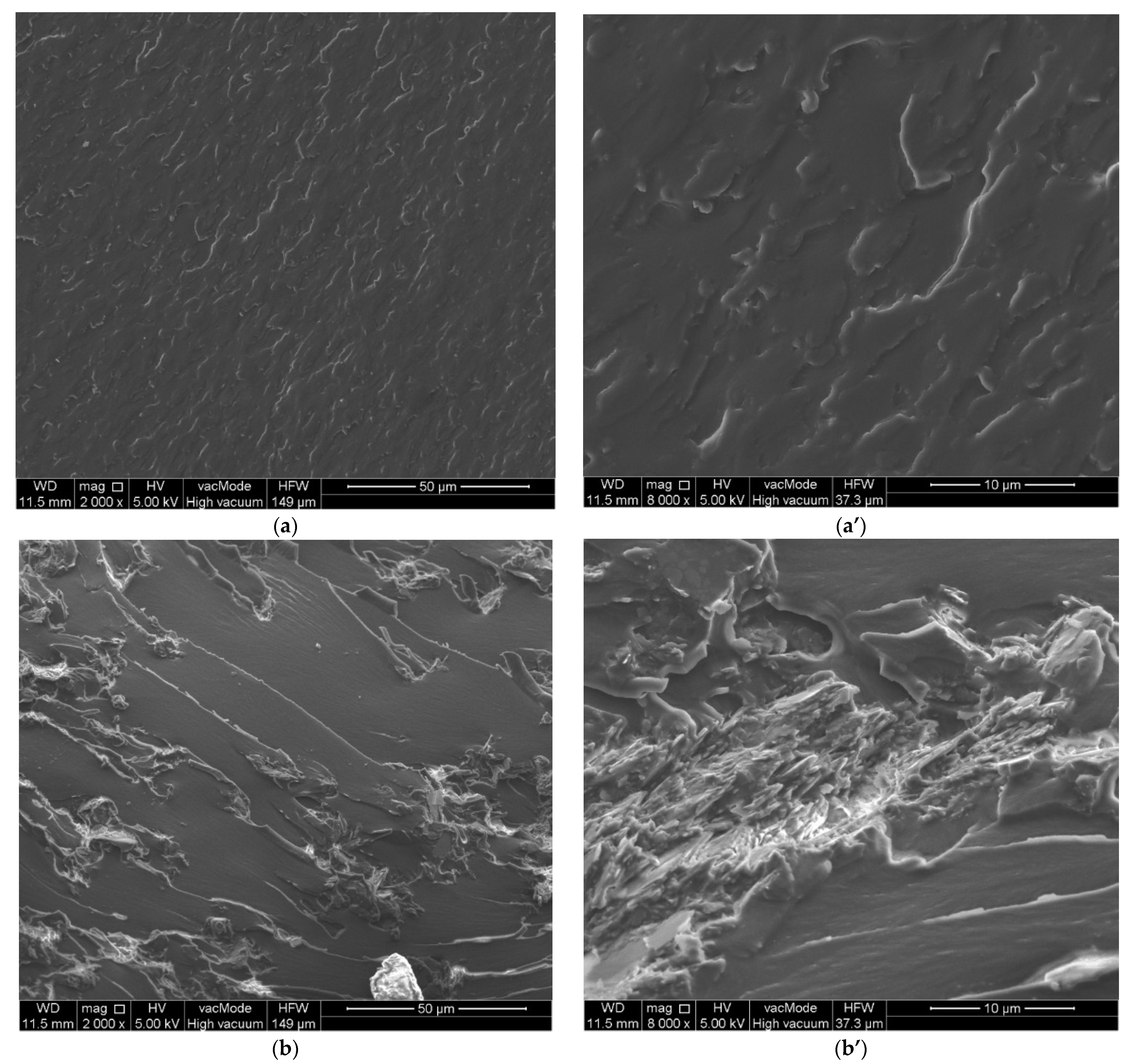 Polymers 15 01898 g014a Polymers 15 01898 g014a
