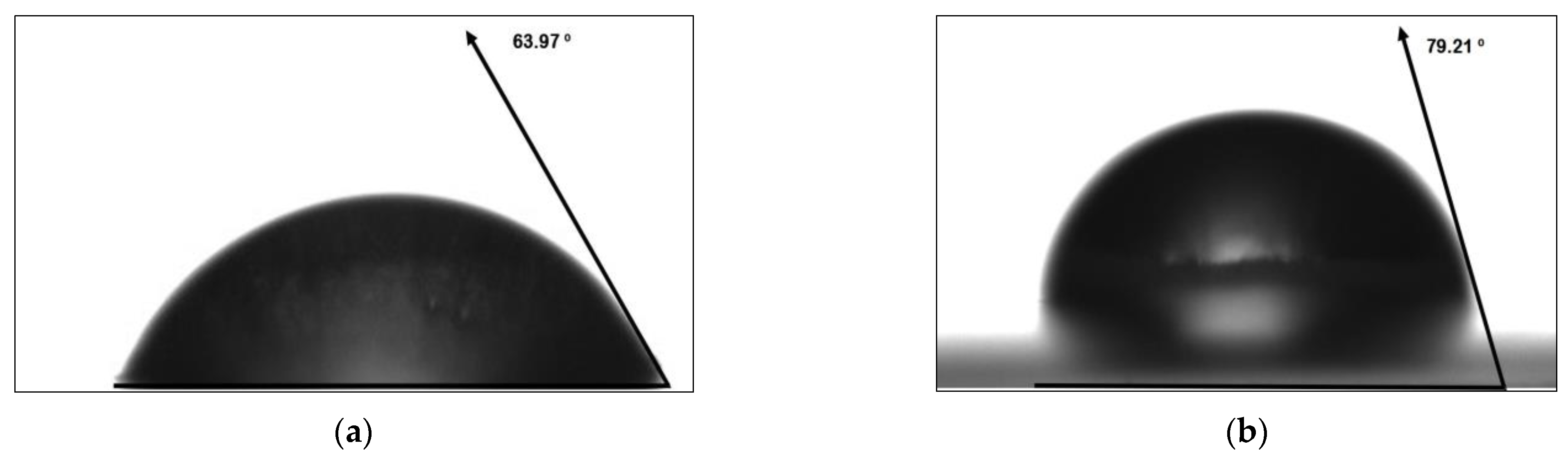 Polymers 15 01899 g006