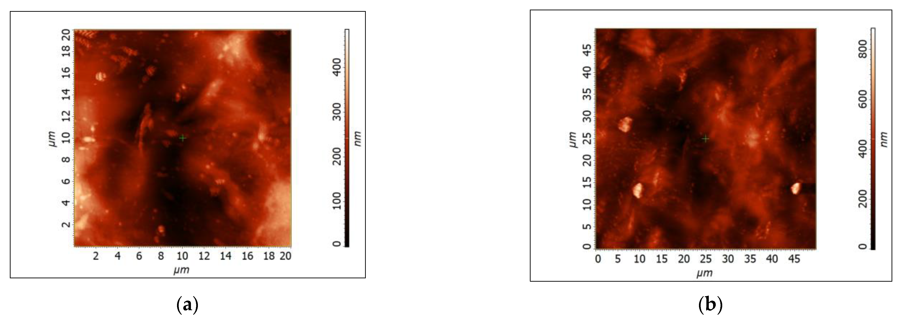 Polymers 15 01899 g008