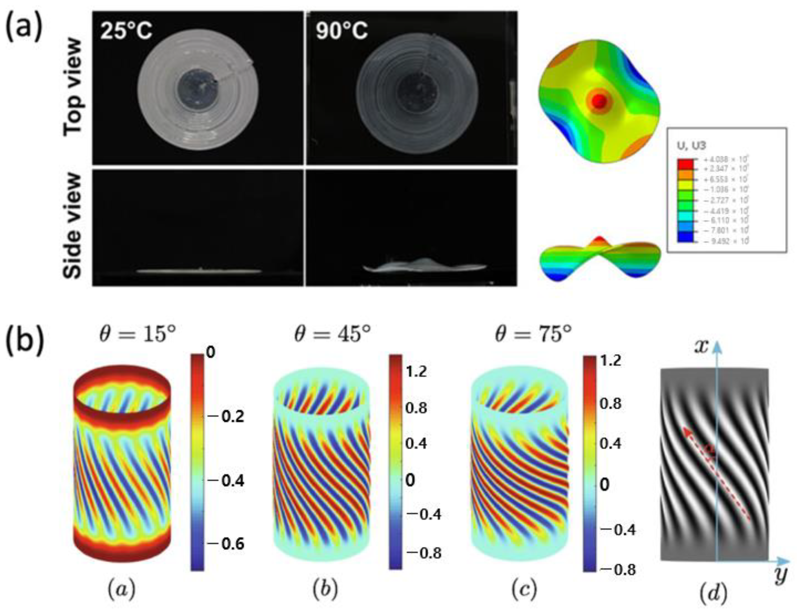 Polymers 15 01904 g012