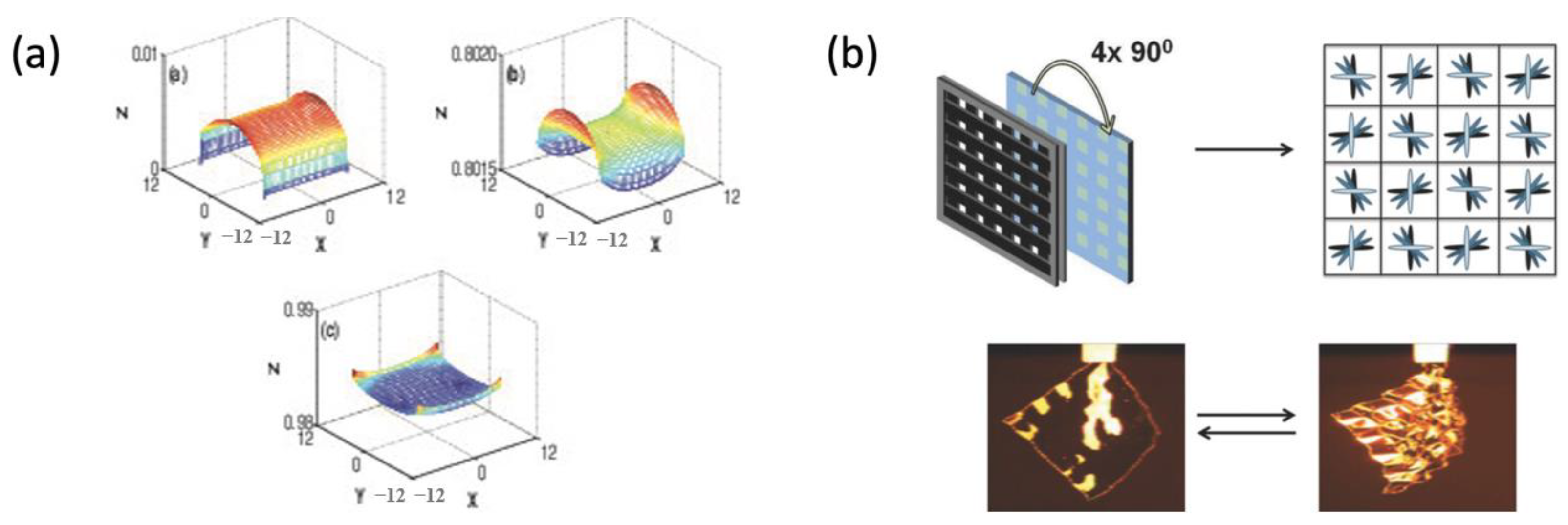 Polymers 15 01904 g013