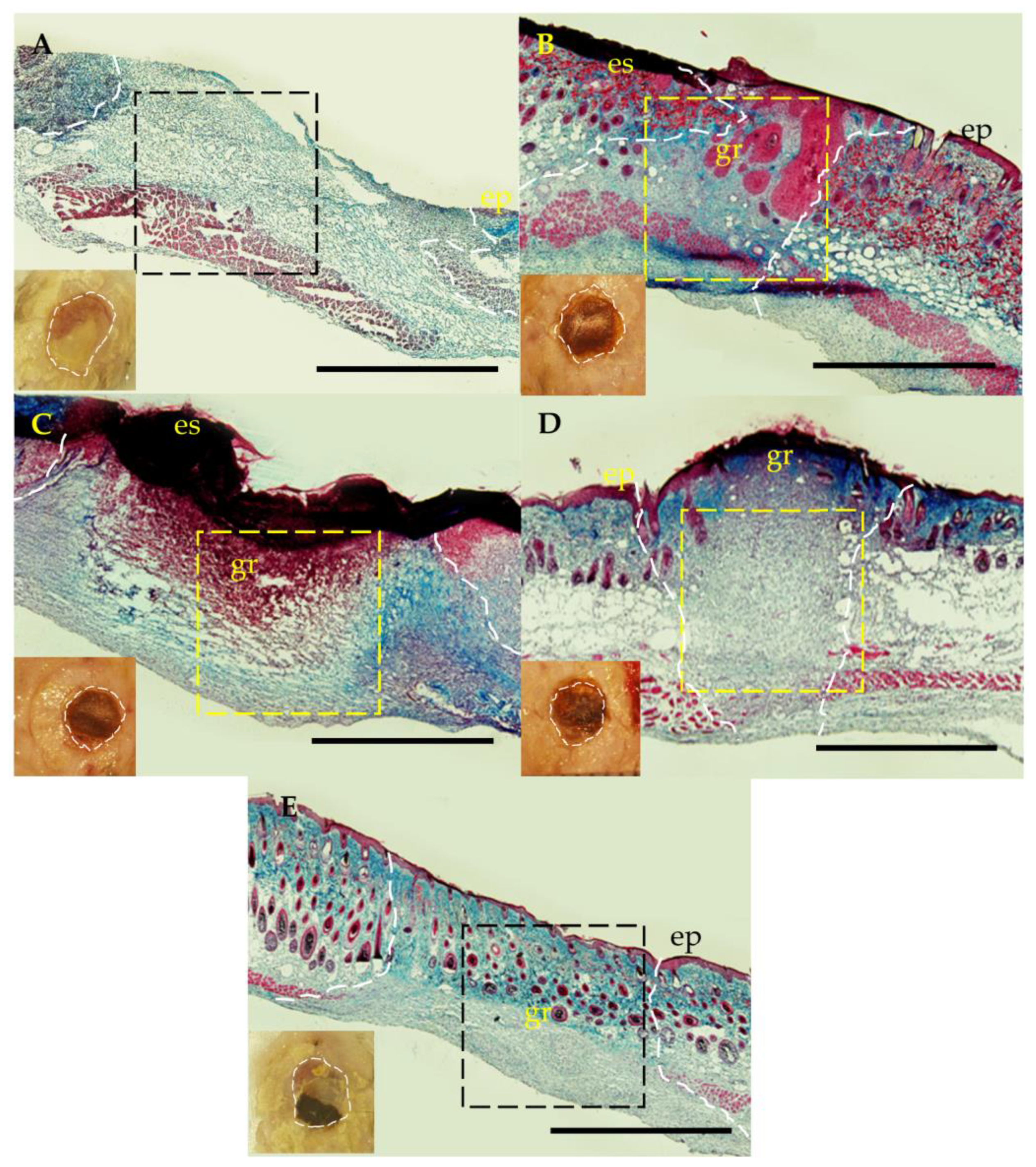 Polymers 15 01905 g007 Polymers 15 01905 g007
