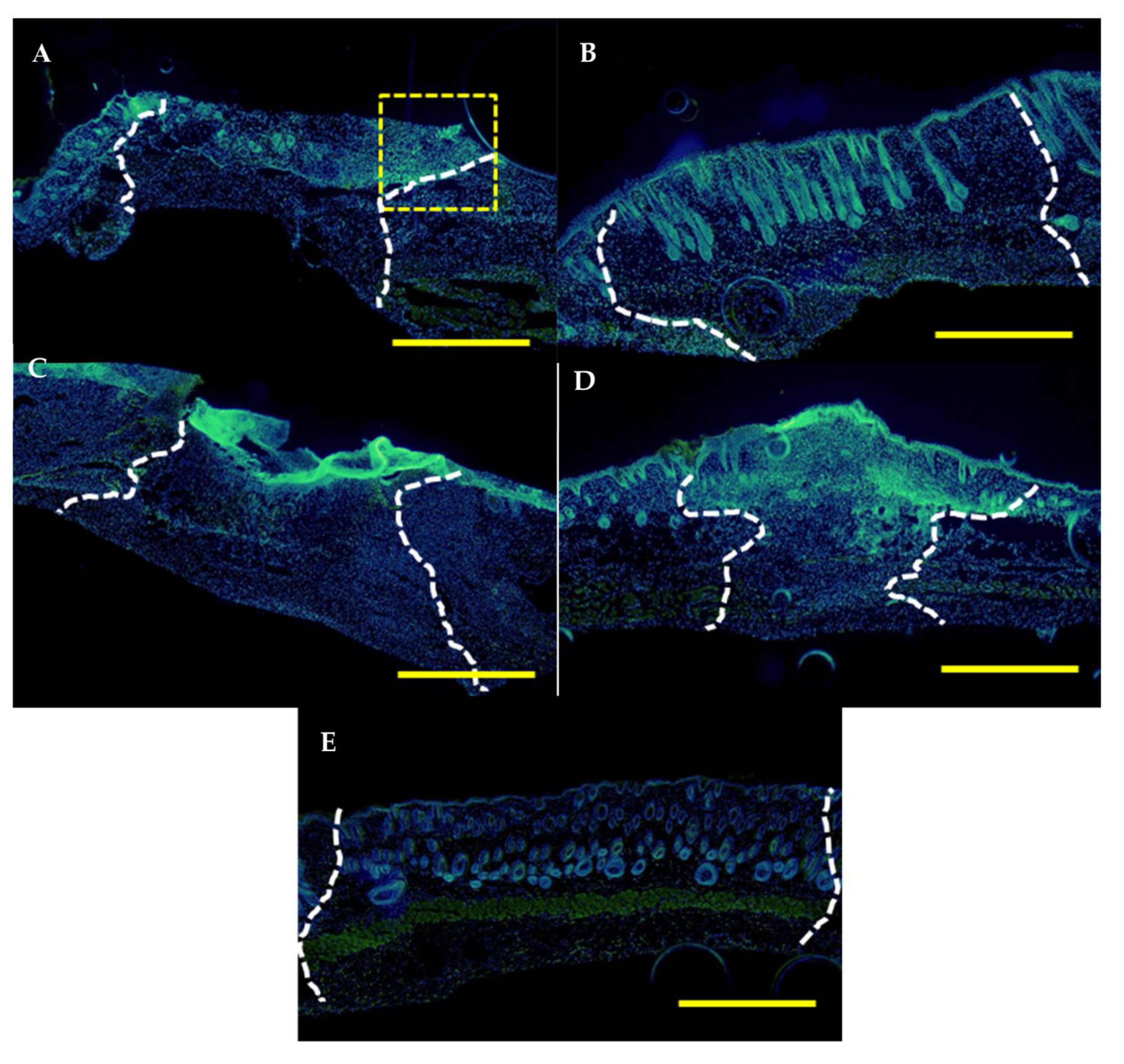 Polymers 15 01905 g012 Polymers 15 01905 g012