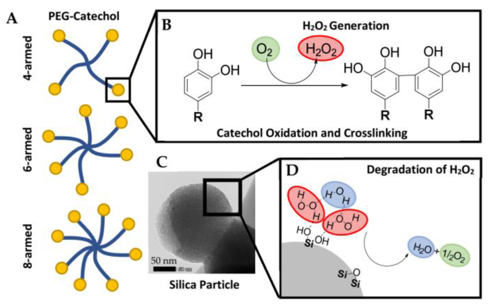 Polymers 15 01905 sch001 Polymers 15 01905 sch001