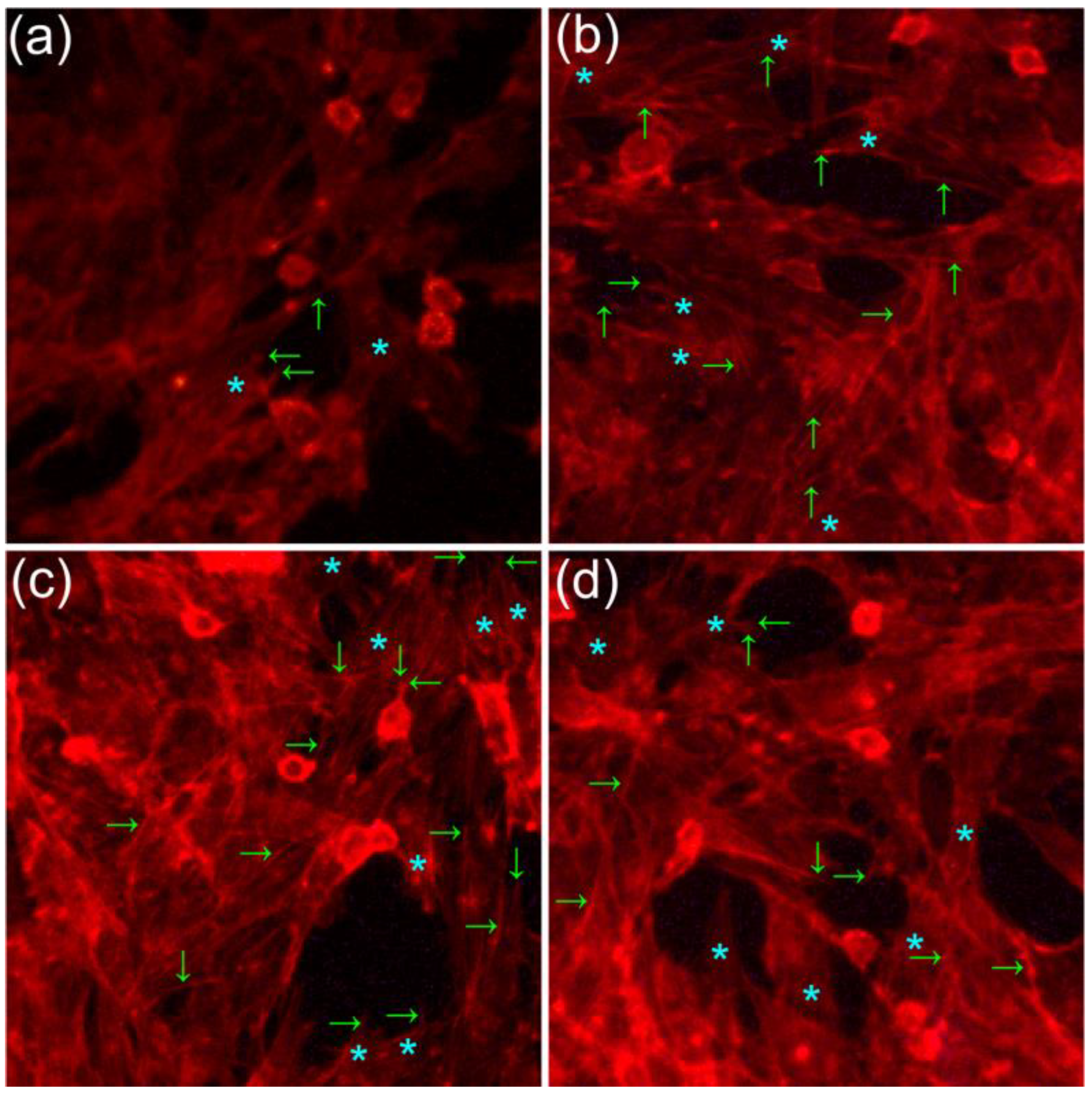 Polymers 15 01908 g008