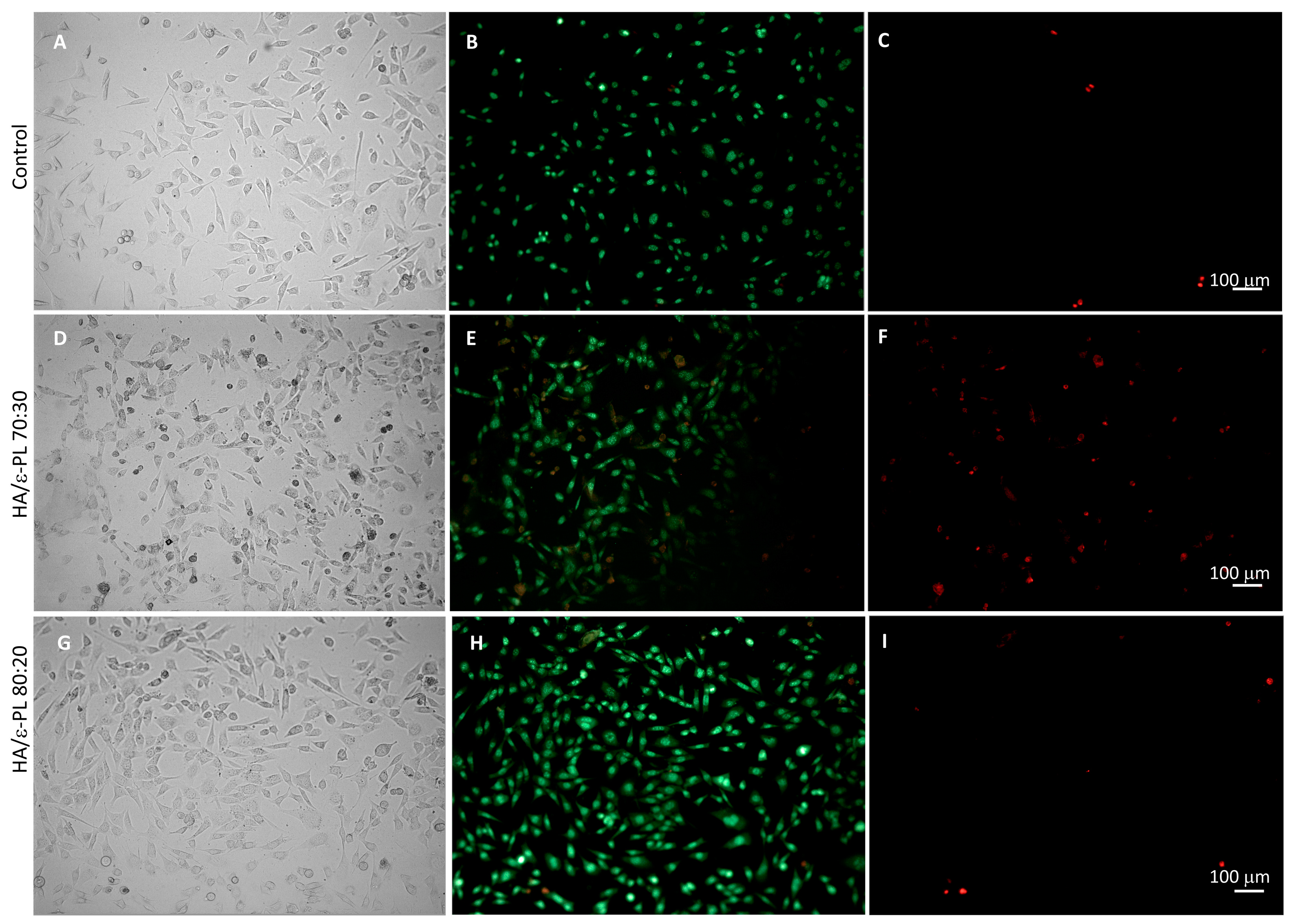 Polymers 15 01915 g008 Polymers 15 01915 g008