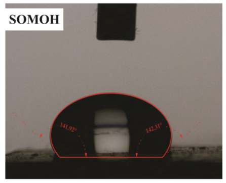 Polymers 15 01916 i006