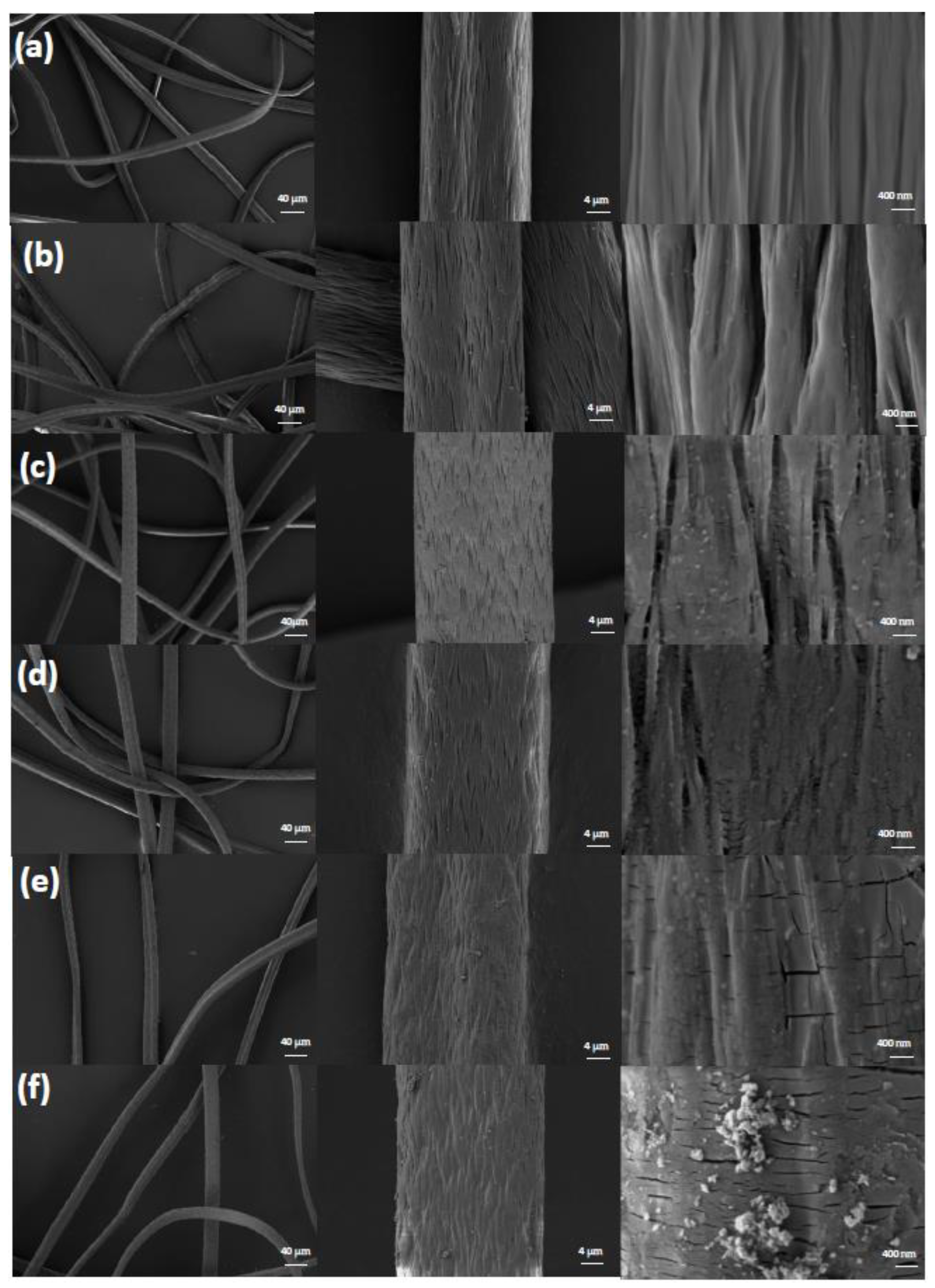 Polymers 15 01918 g002 Polymers 15 01918 g002