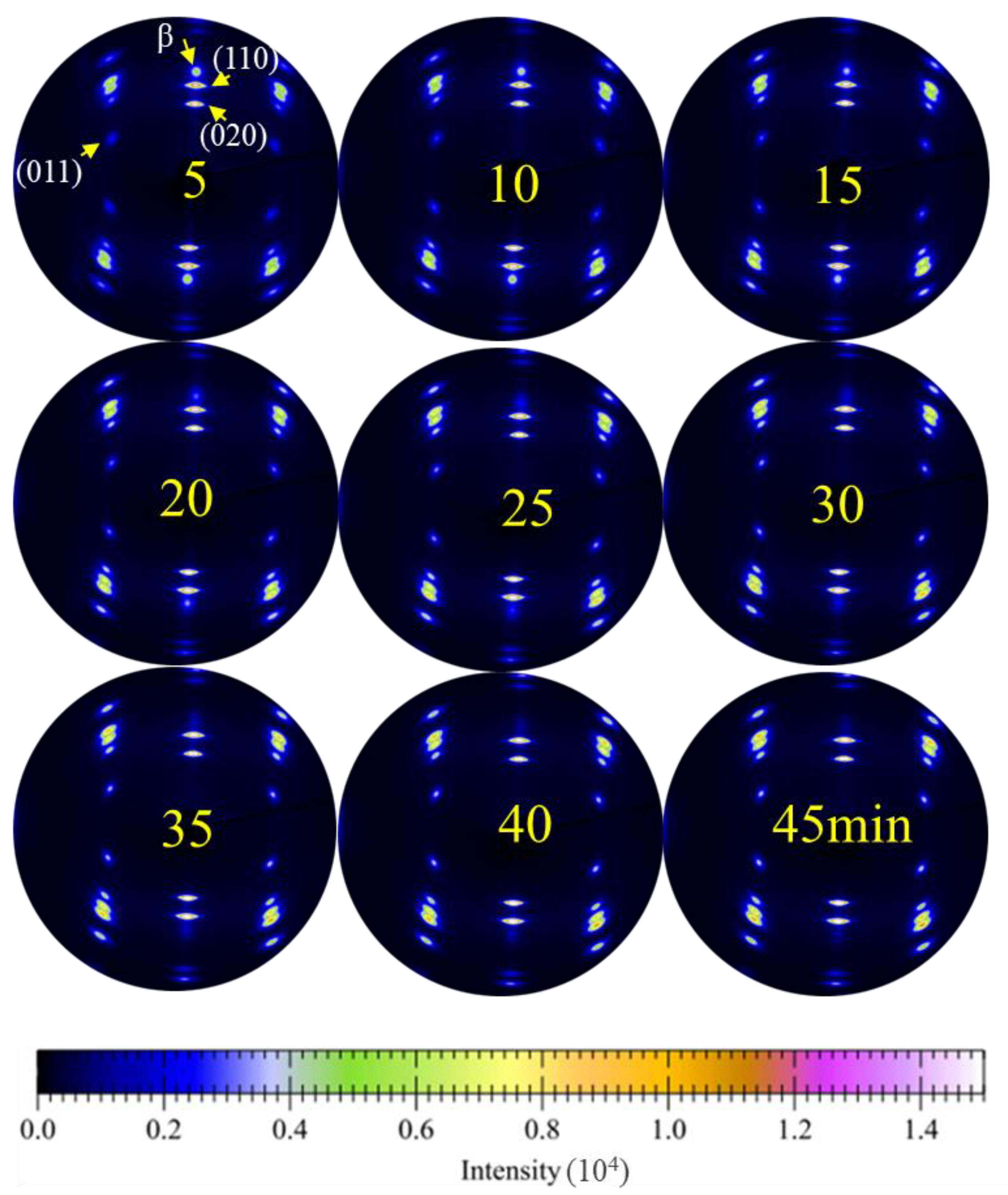 Polymers 15 01921 g002
