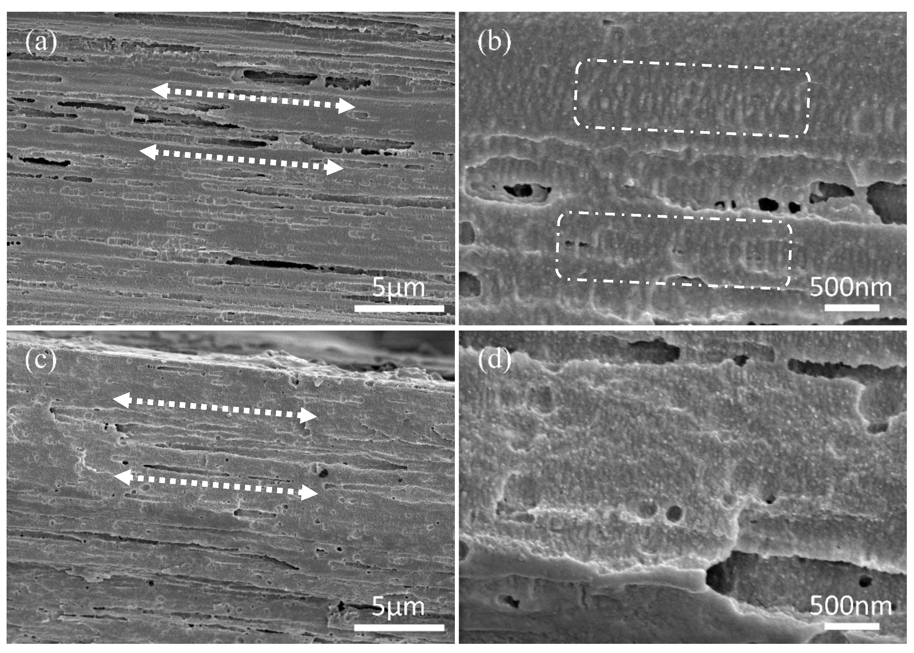 Polymers 15 01921 g009