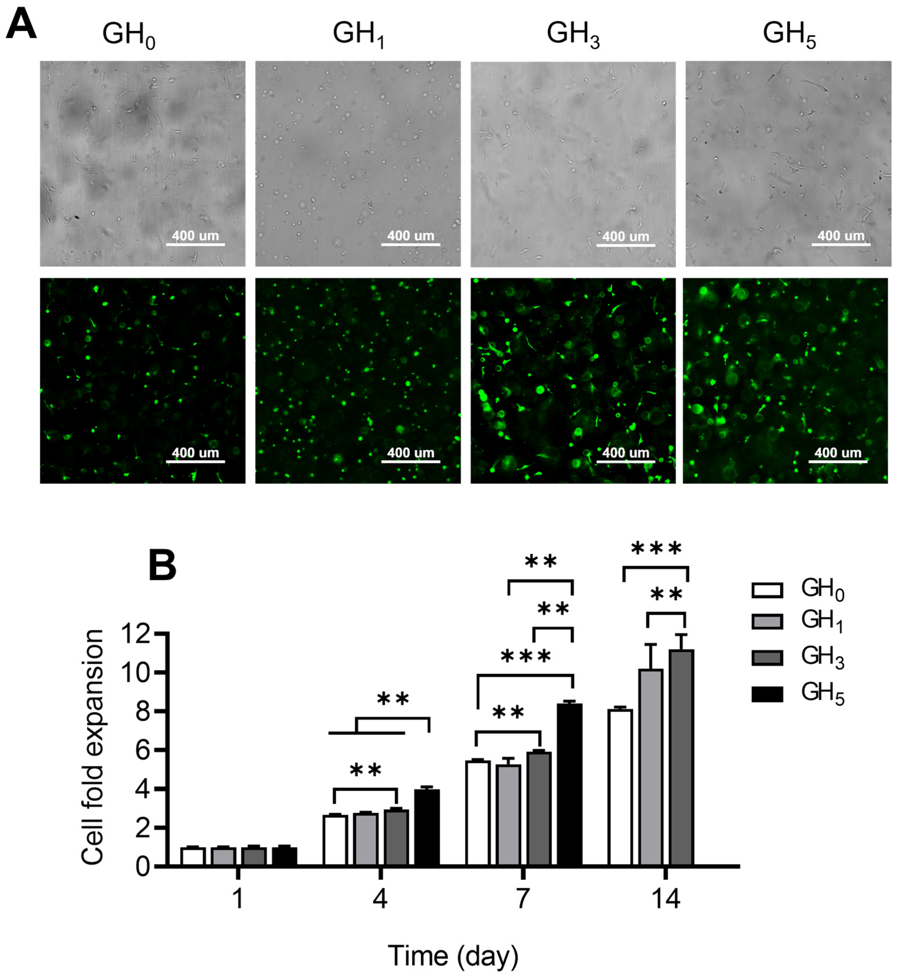 Polymers 15 01925 g003 Polymers 15 01925 g003