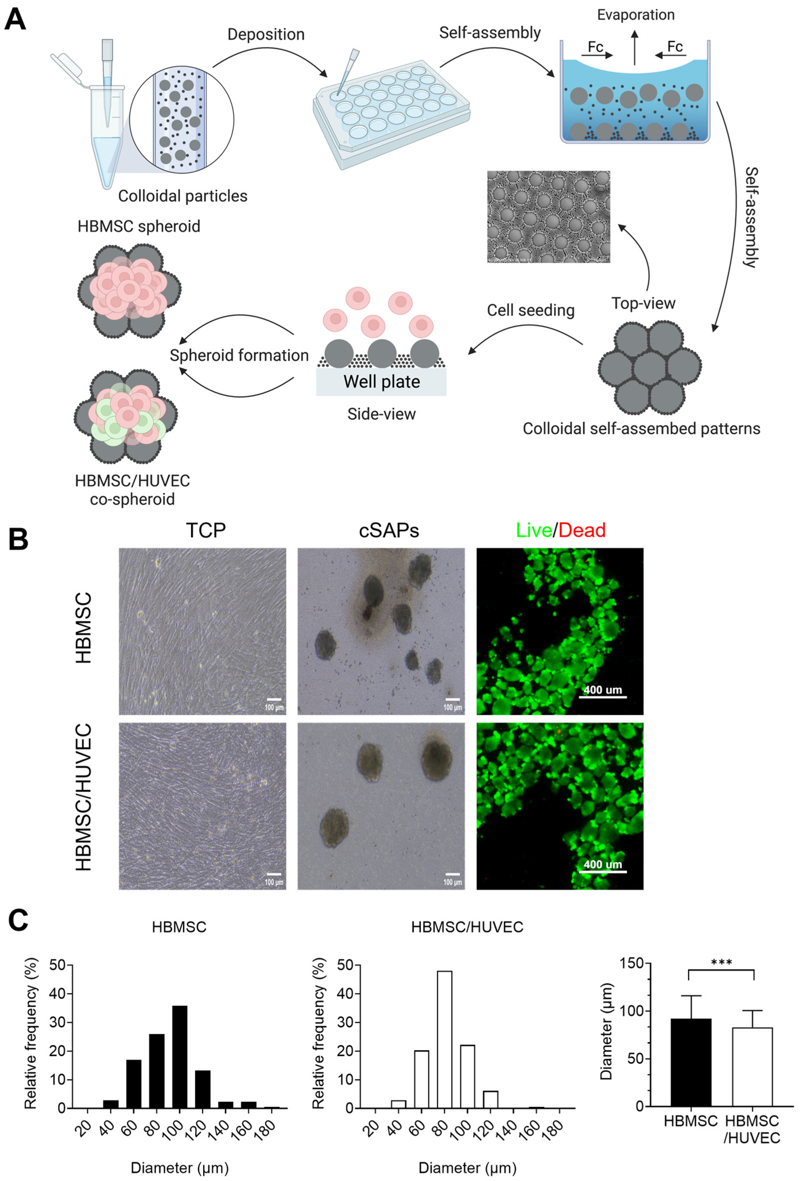 Polymers 15 01925 g004 Polymers 15 01925 g004