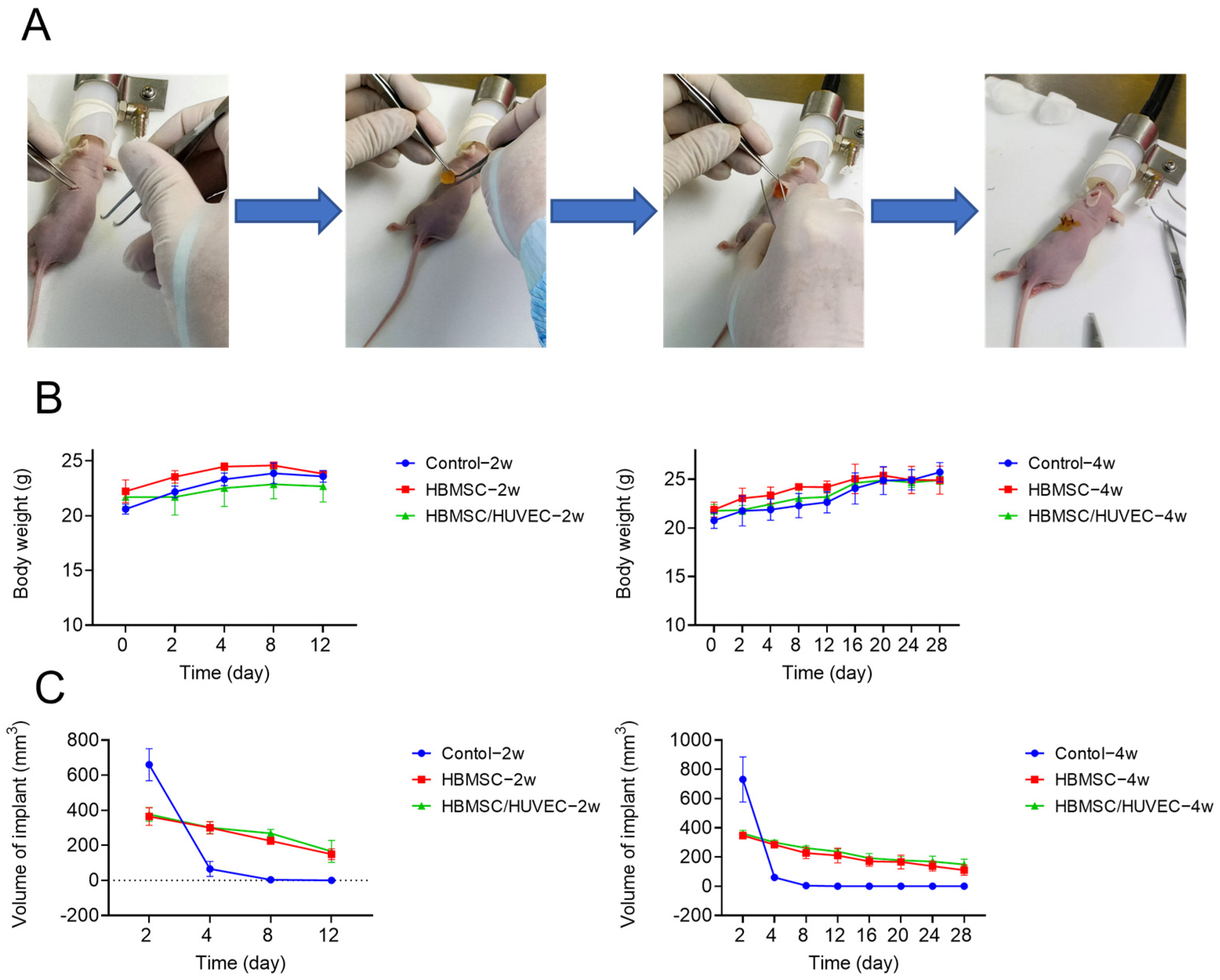 Polymers 15 01925 g008 Polymers 15 01925 g008
