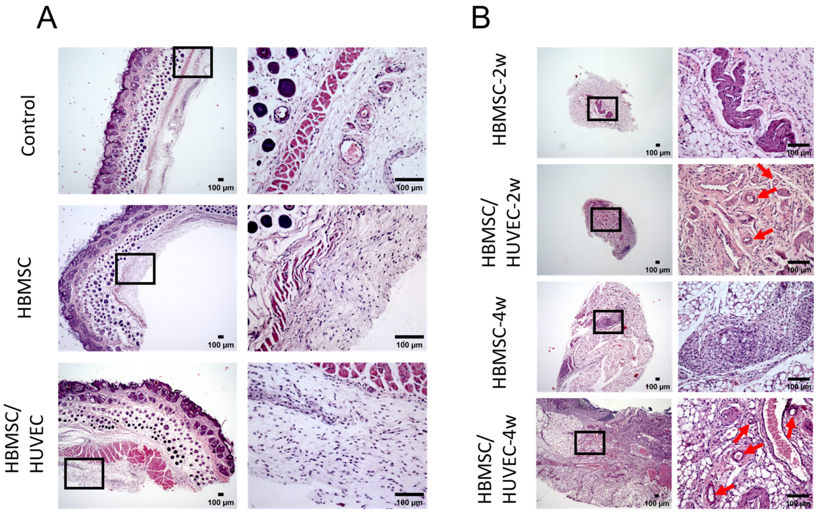 Polymers 15 01925 g010 Polymers 15 01925 g010
