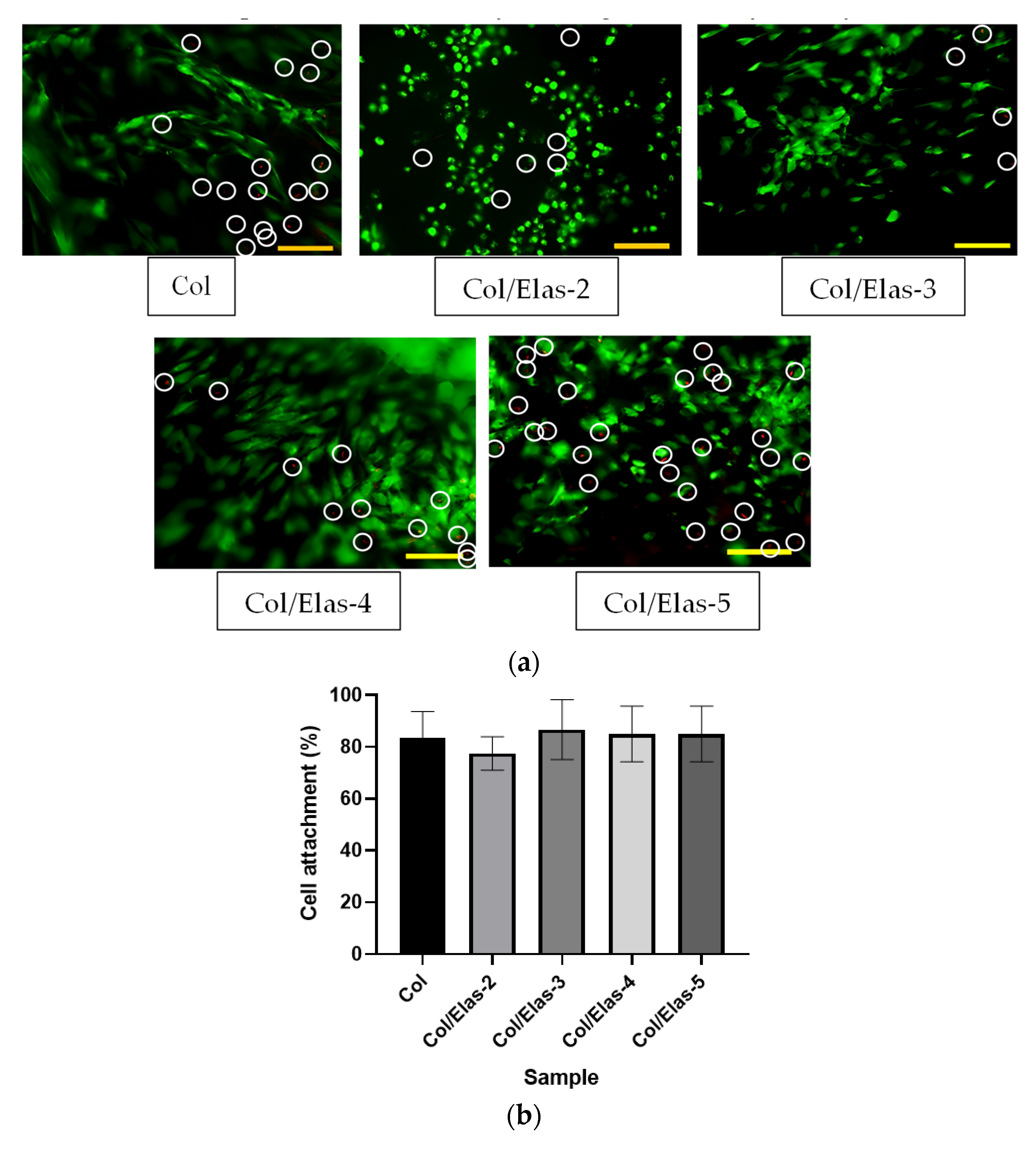 Polymers 15 01929 g004a