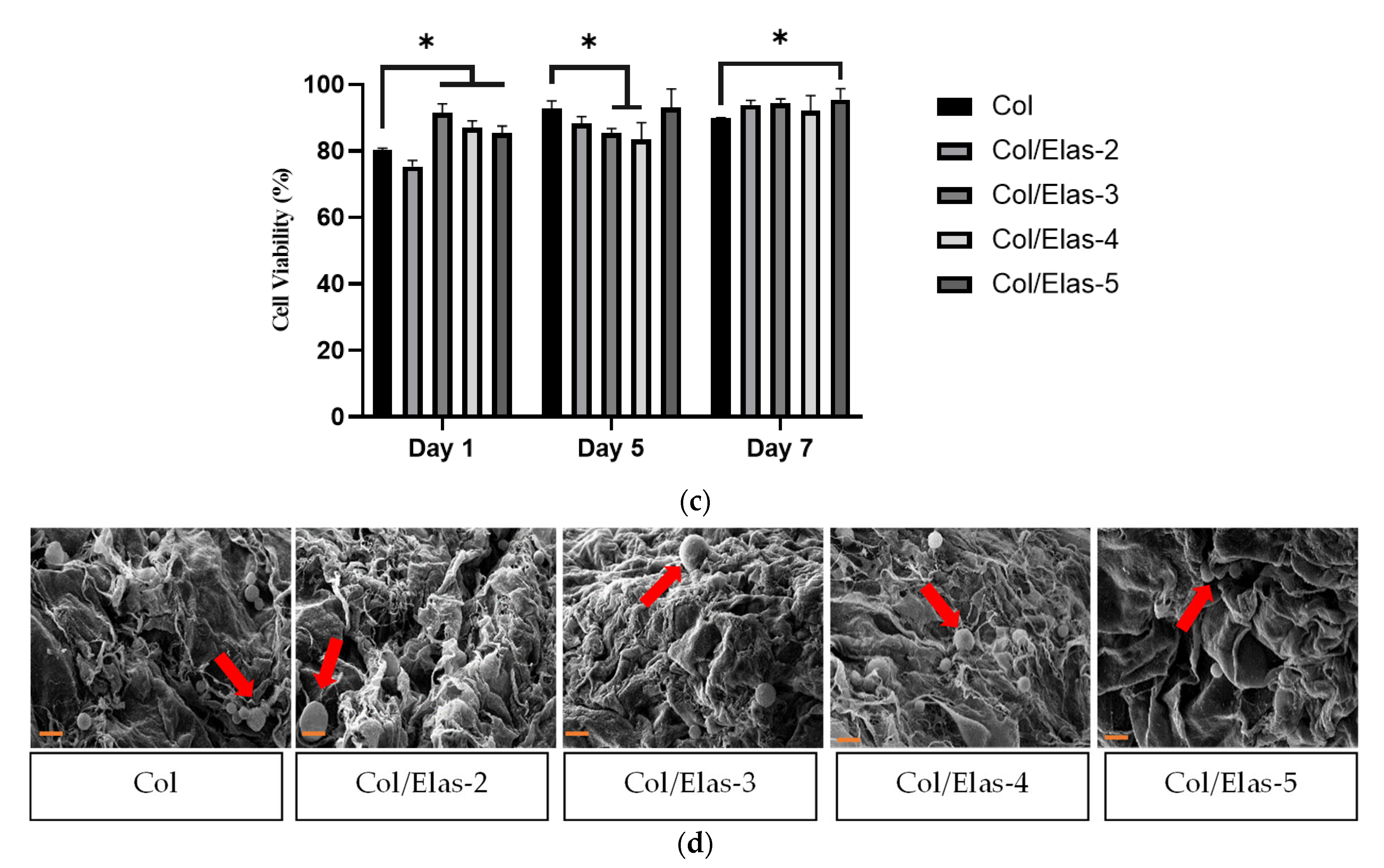 Polymers 15 01929 g004b