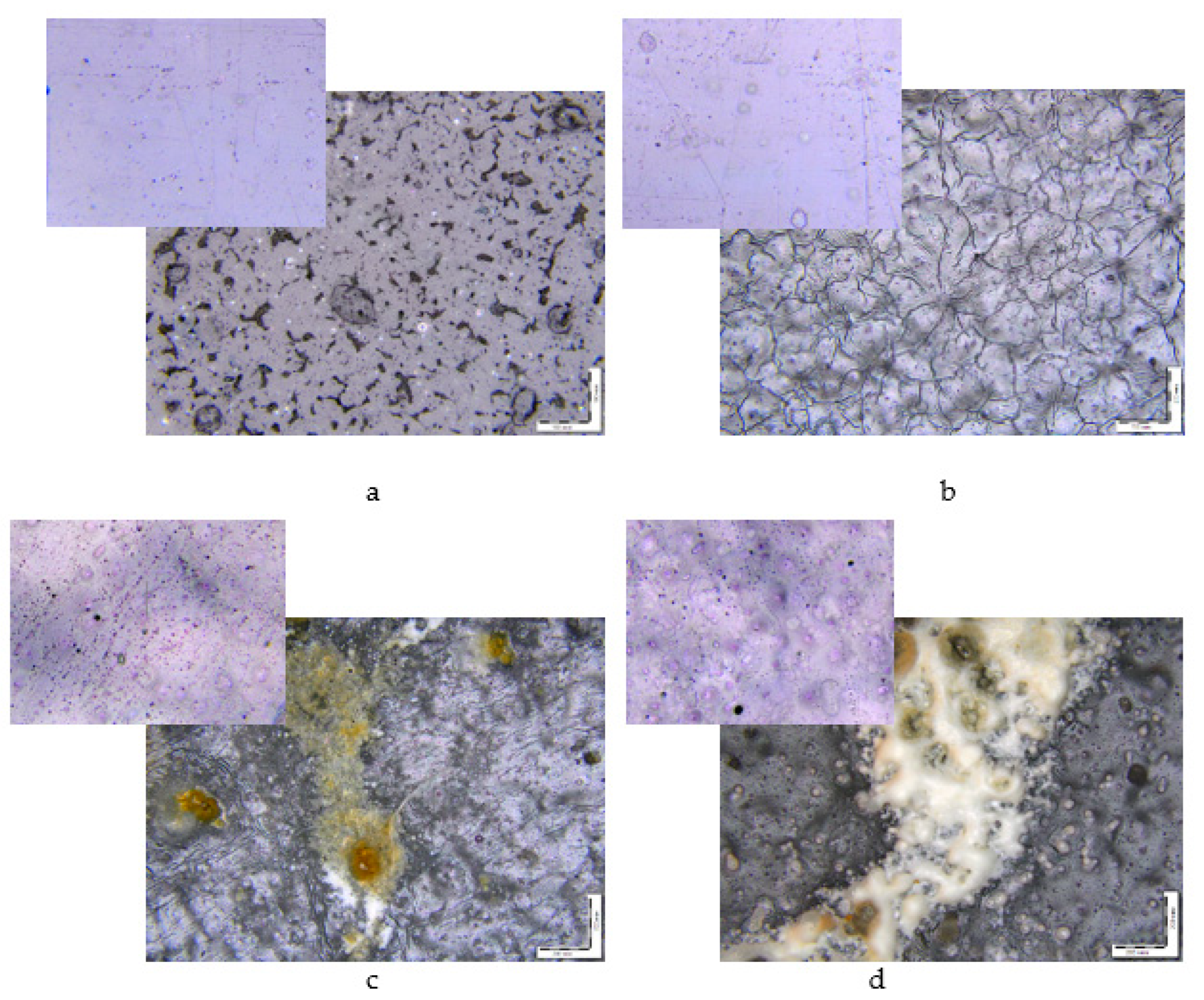 Polymers 15 01930 g002 Polymers 15 01930 g002