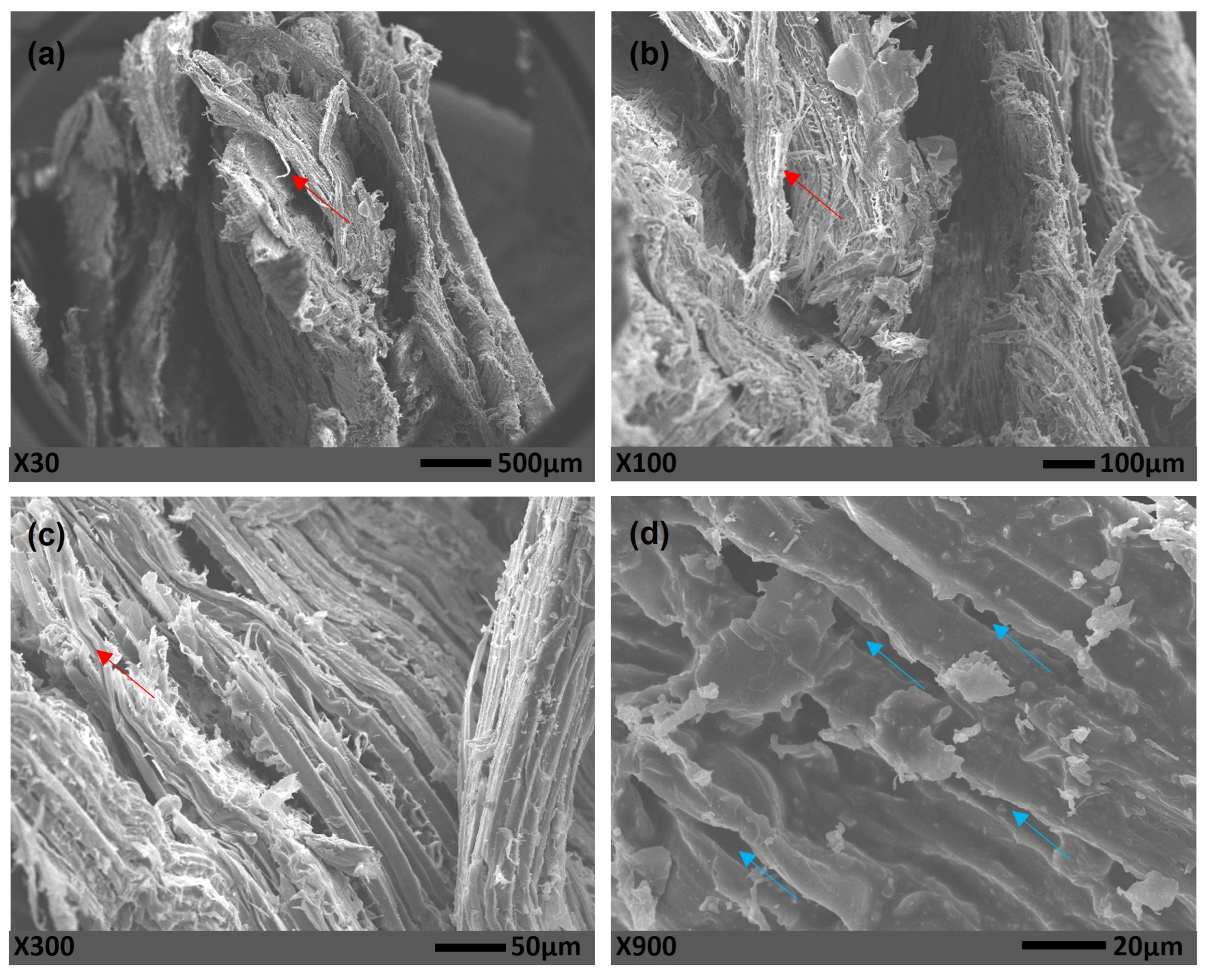 Polymers 15 01931 g007 Polymers 15 01931 g007