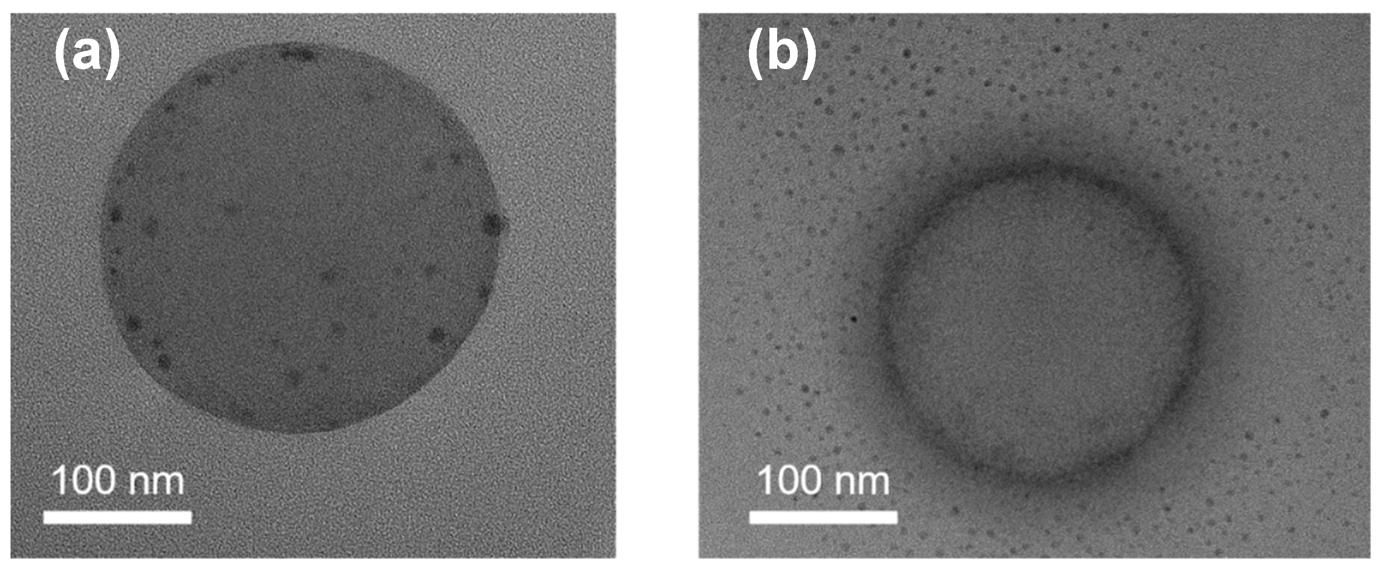 Polymers 15 01932 g006 Polymers 15 01932 g006