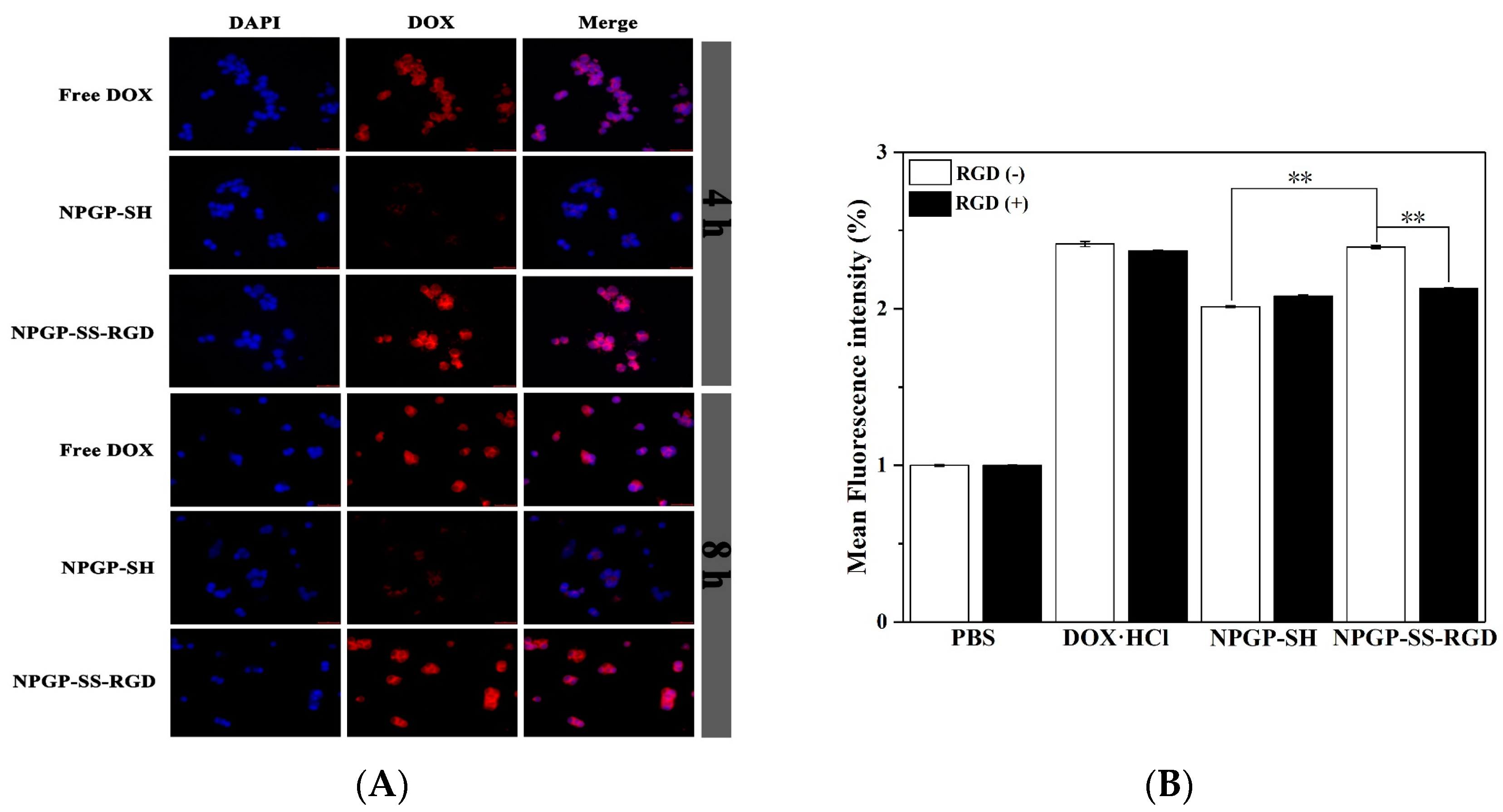 Polymers 15 01933 g005 Polymers 15 01933 g005