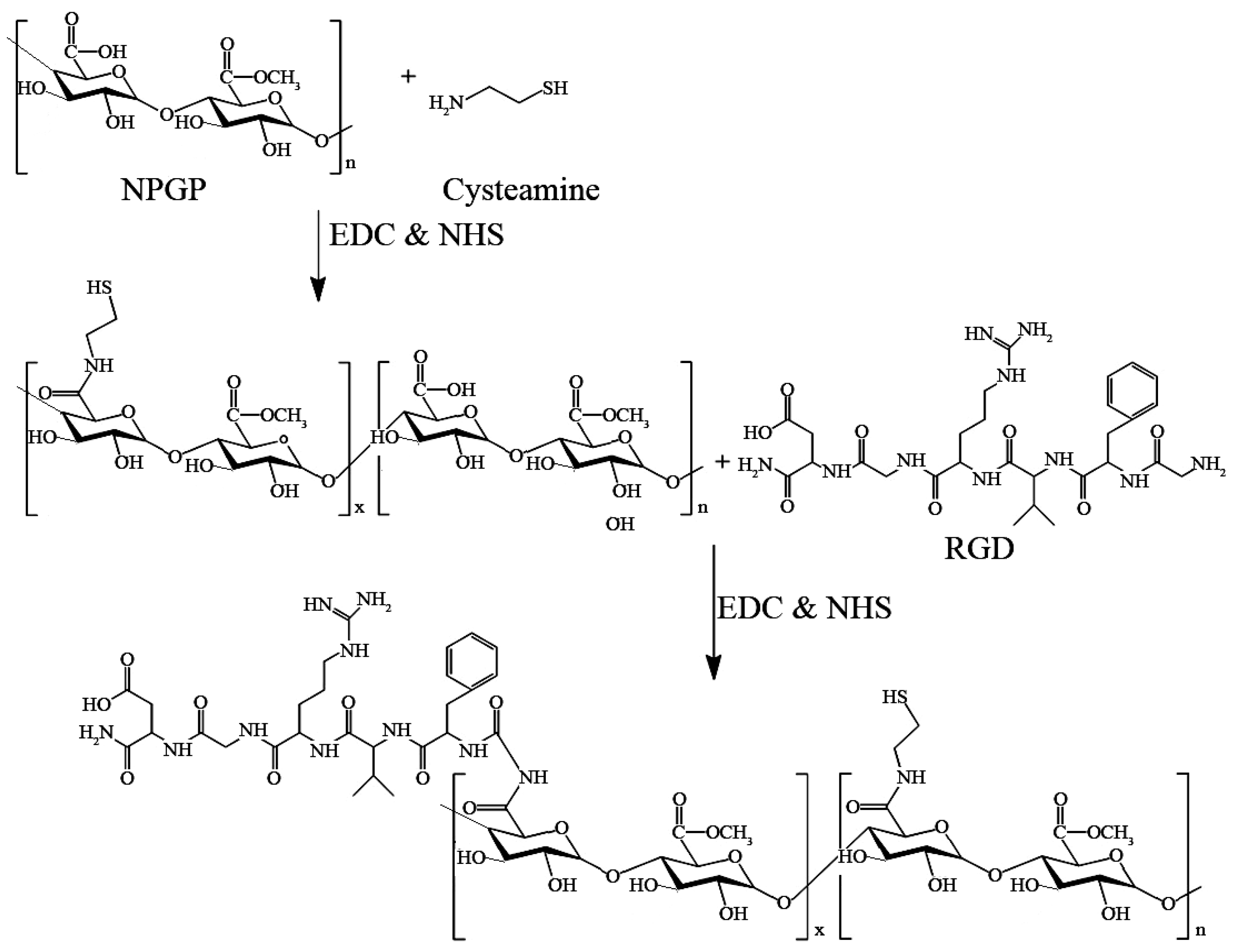 Polymers 15 01933 sch001 Polymers 15 01933 sch001
