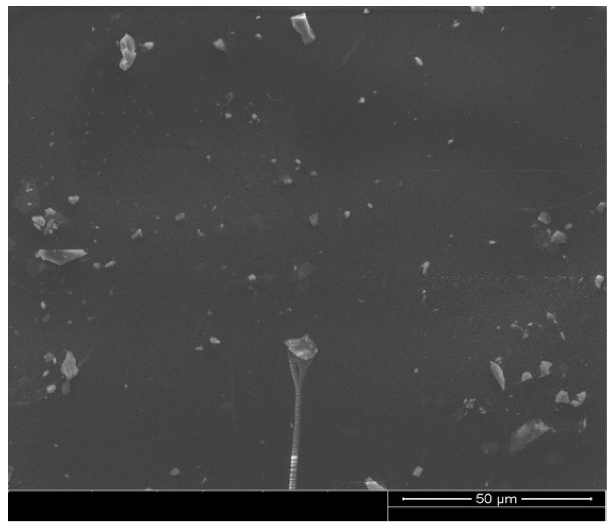 Polymers 15 01934 g003