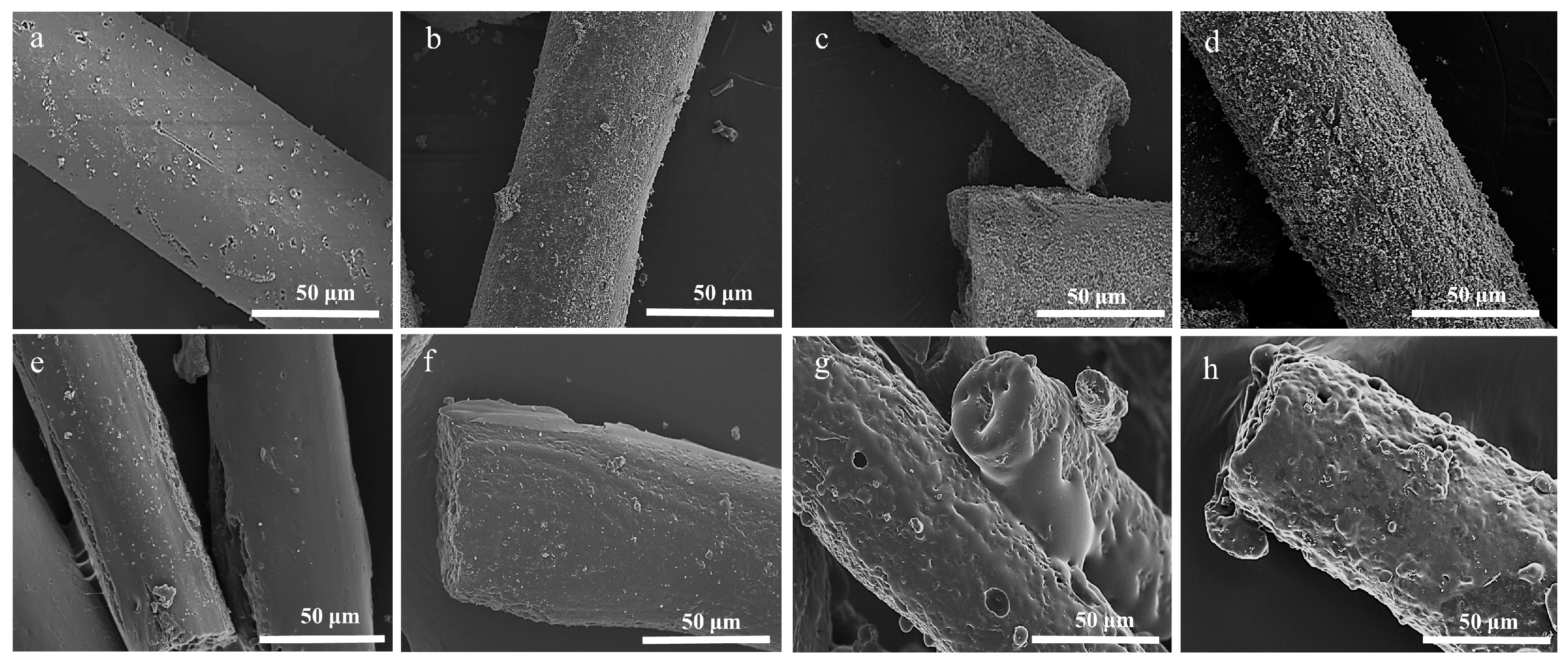 Polymers 15 01947 g002