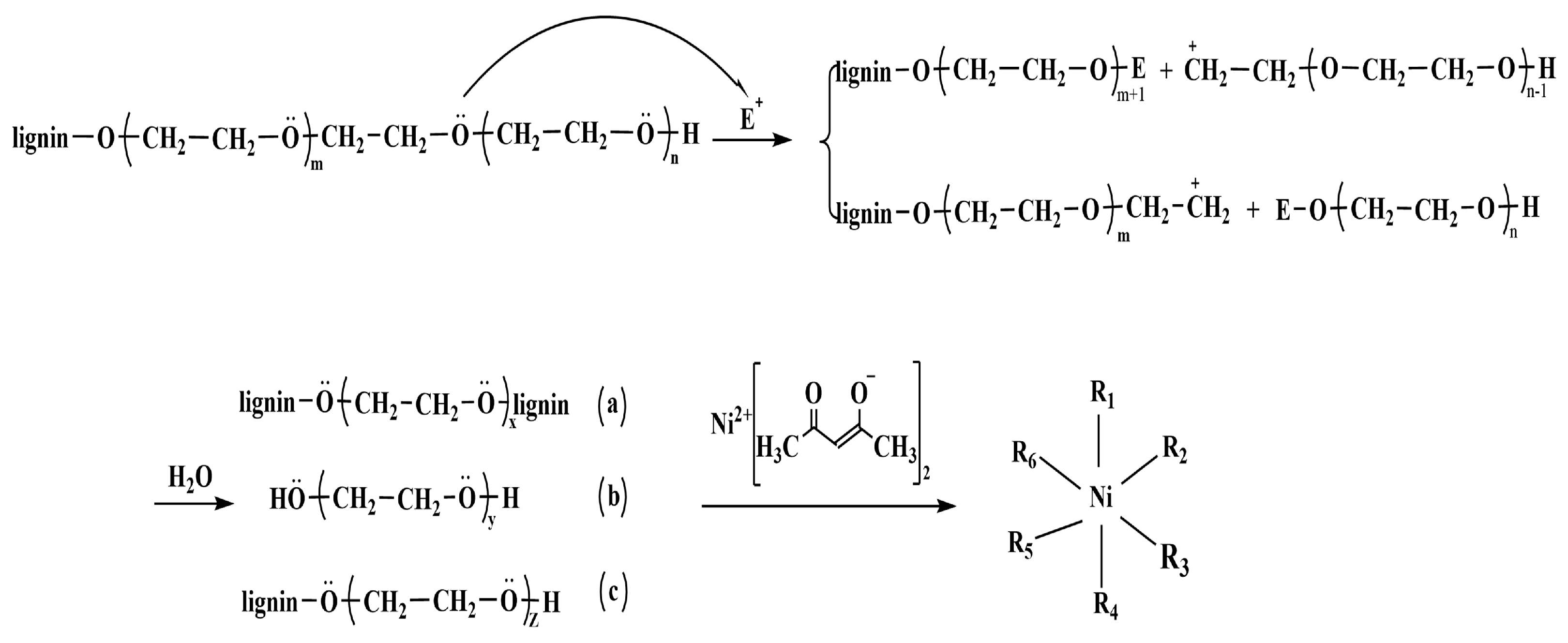 Polymers 15 01947 g003