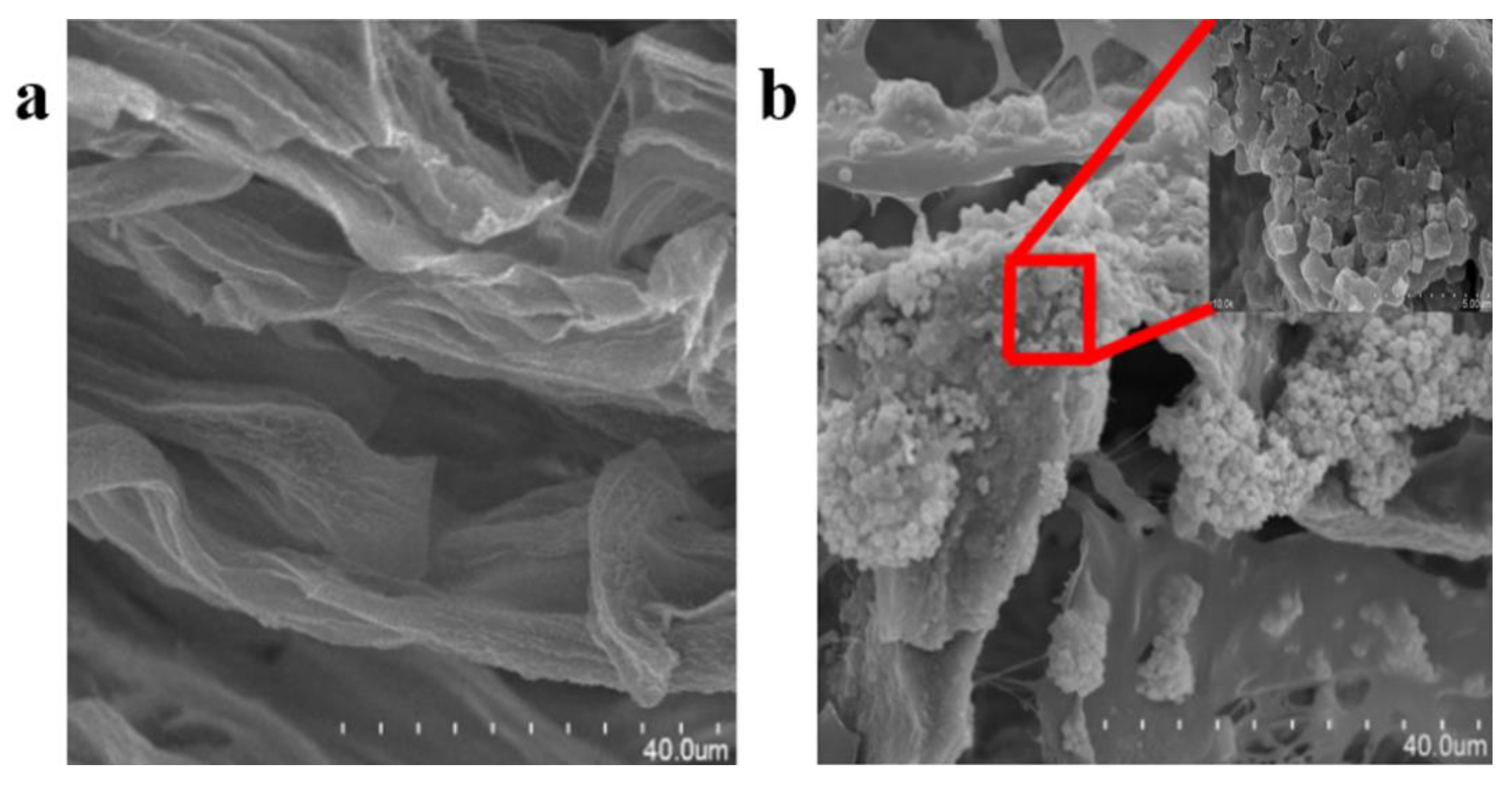 Polymers 15 01950 g006 Polymers 15 01950 g006