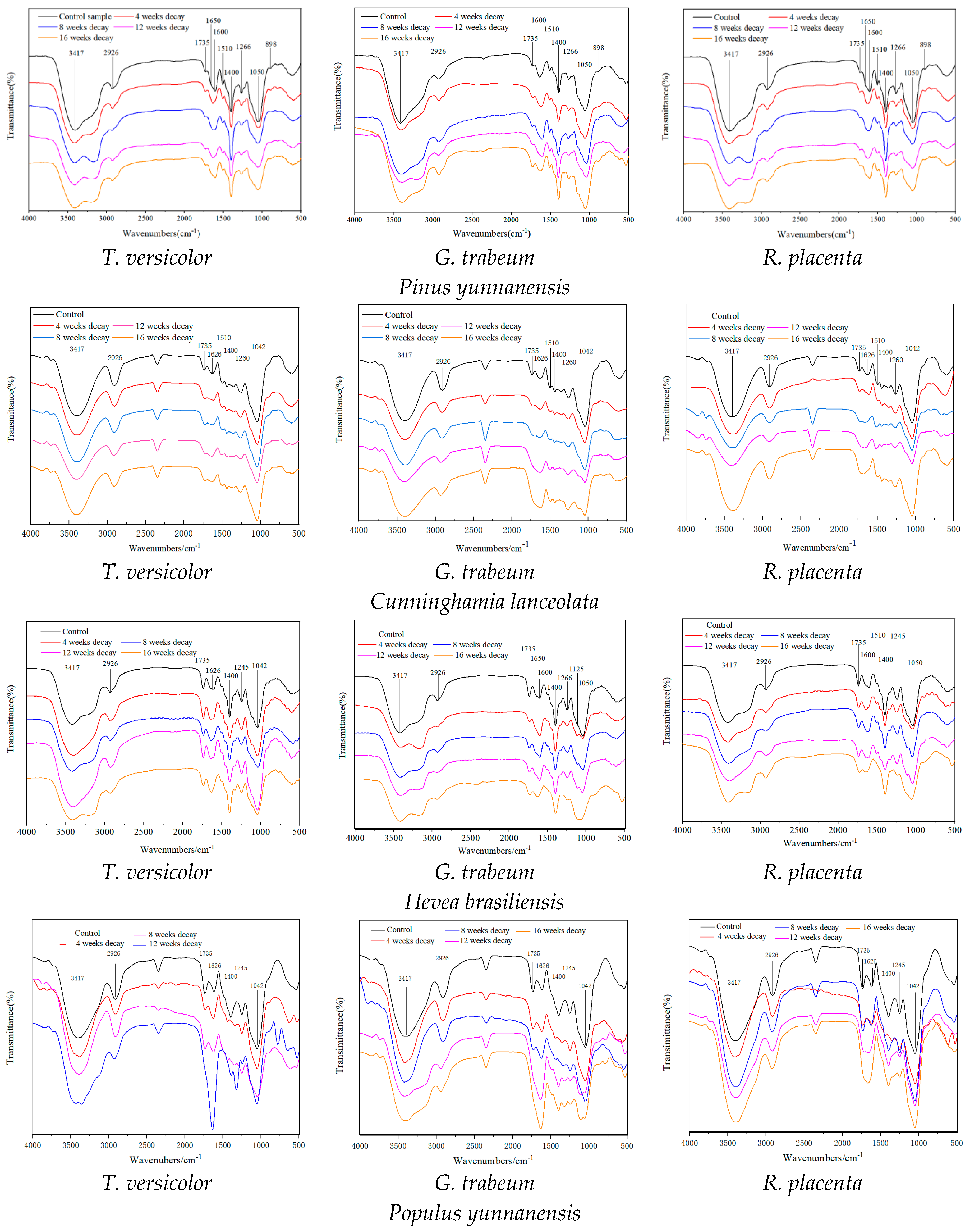 Polymers 15 01957 g001 Polymers 15 01957 g001