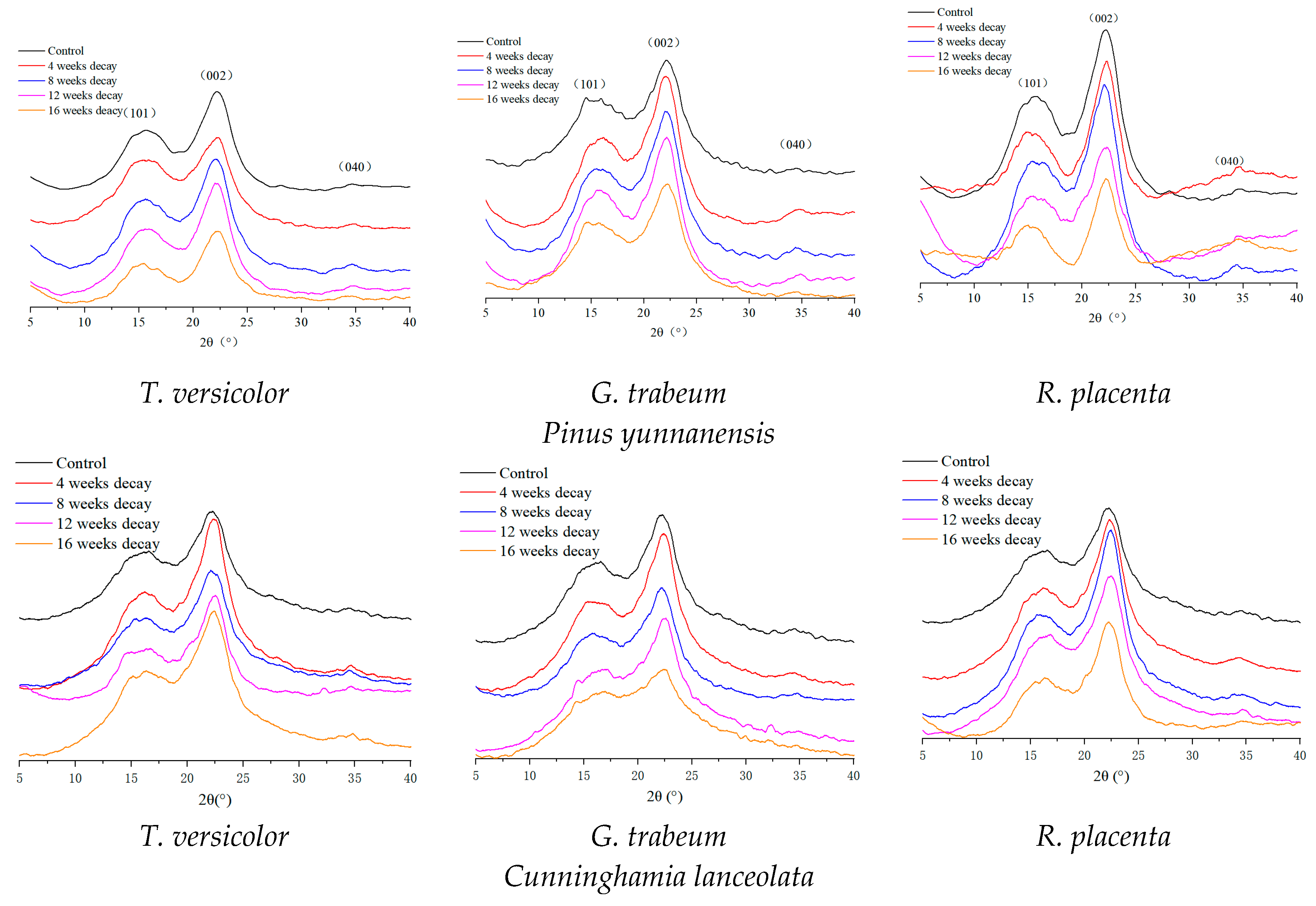 Polymers 15 01957 g002a Polymers 15 01957 g002a