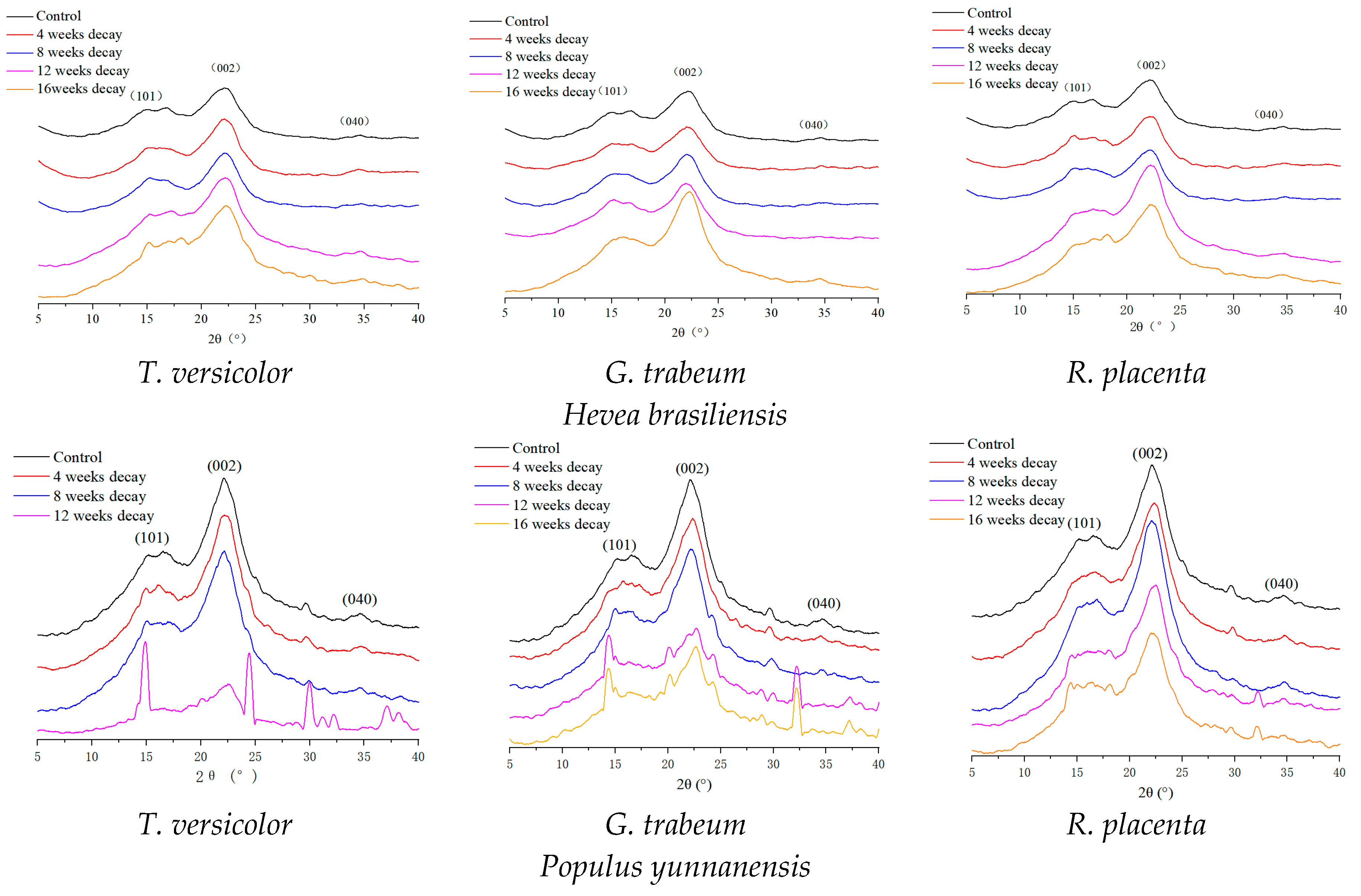 Polymers 15 01957 g002b Polymers 15 01957 g002b