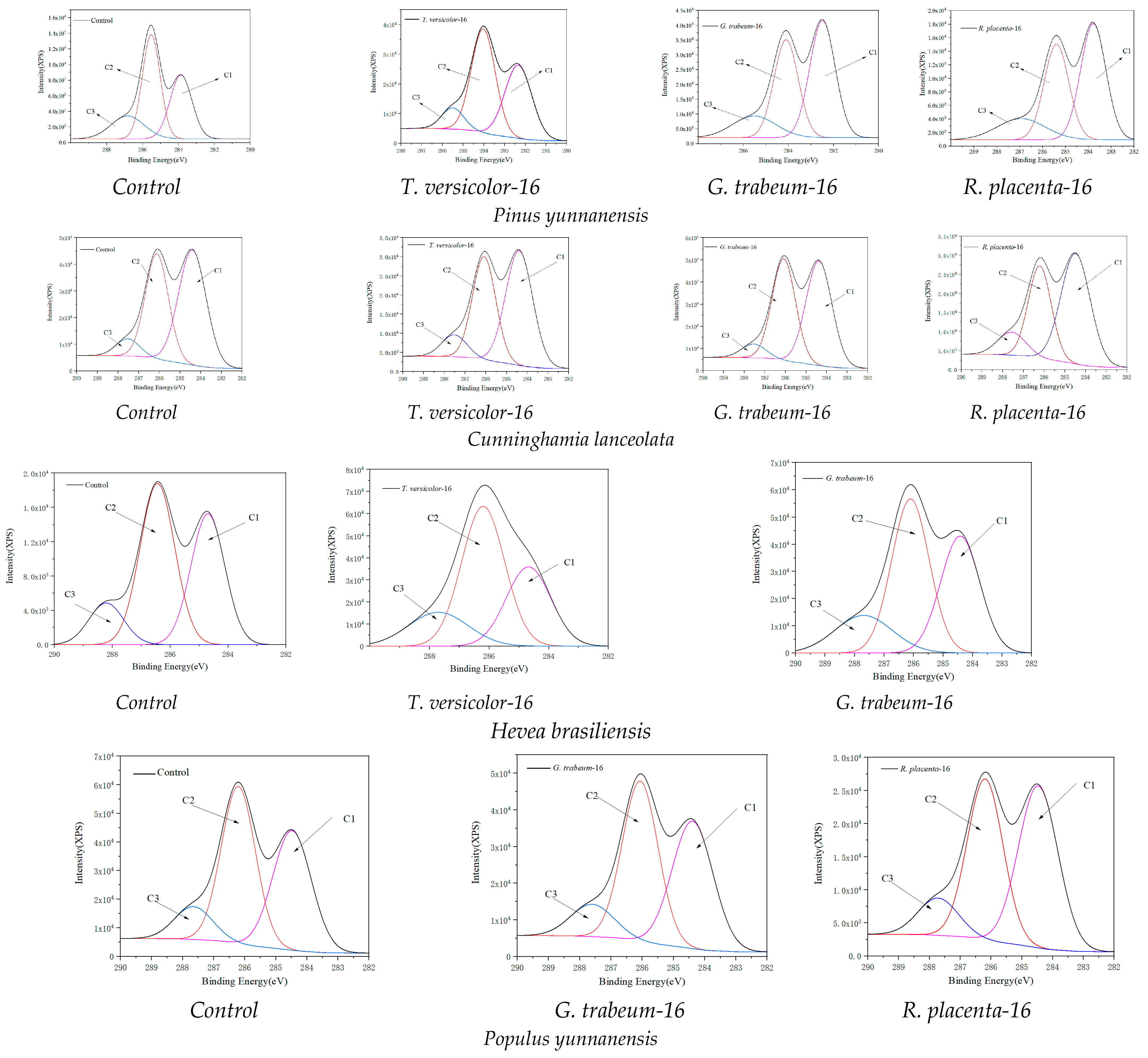 Polymers 15 01957 g003 Polymers 15 01957 g003