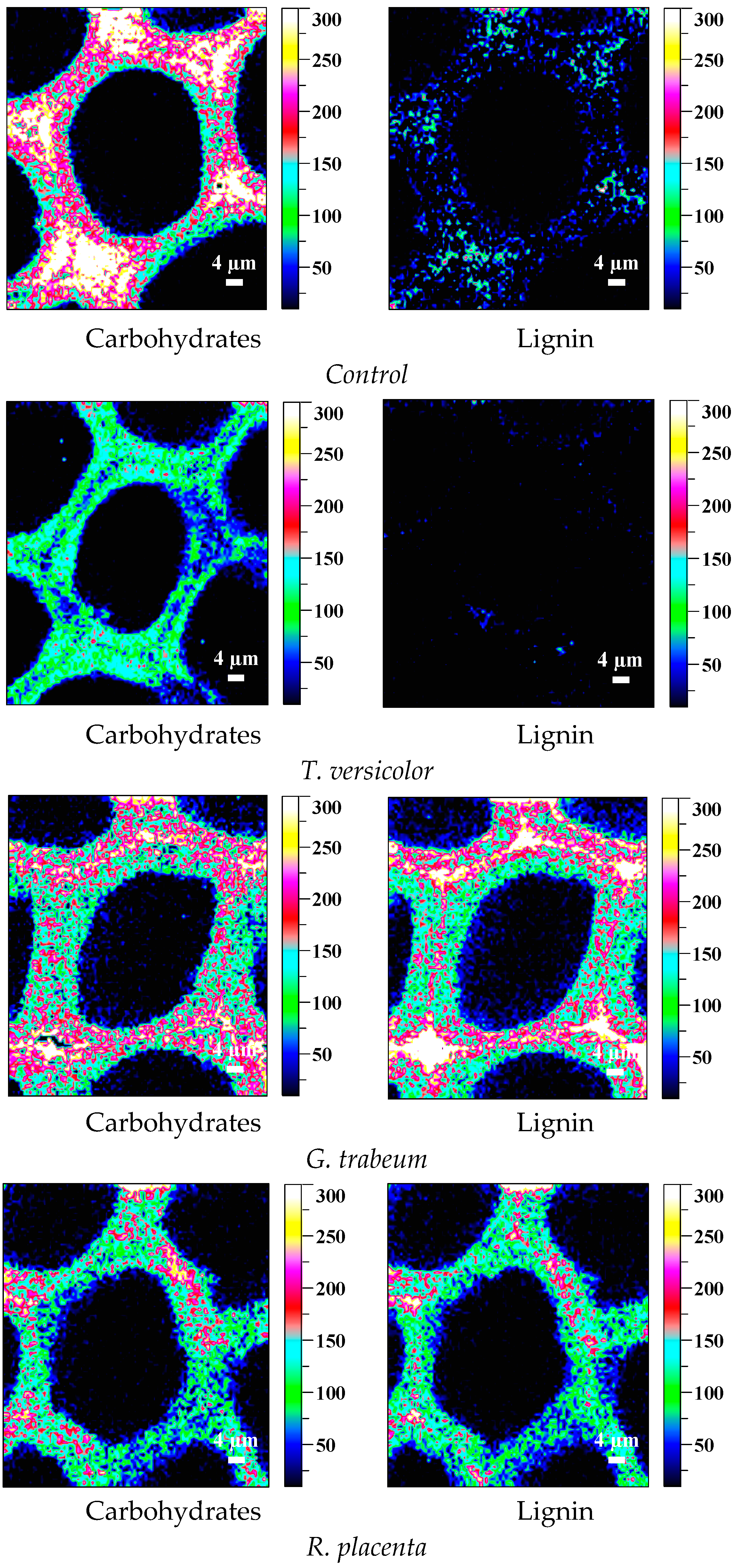 Polymers 15 01957 g006 Polymers 15 01957 g006