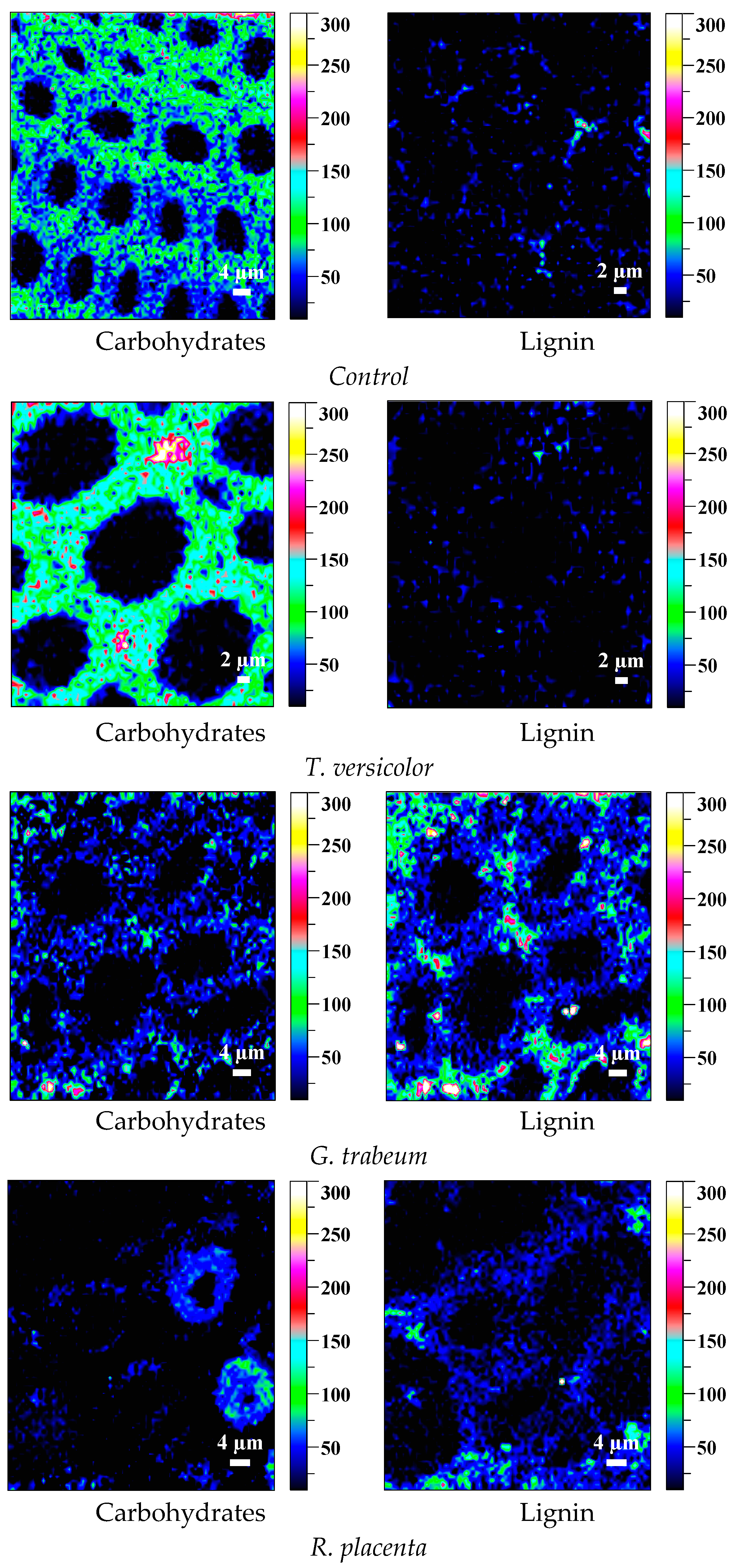Polymers 15 01957 g007 Polymers 15 01957 g007