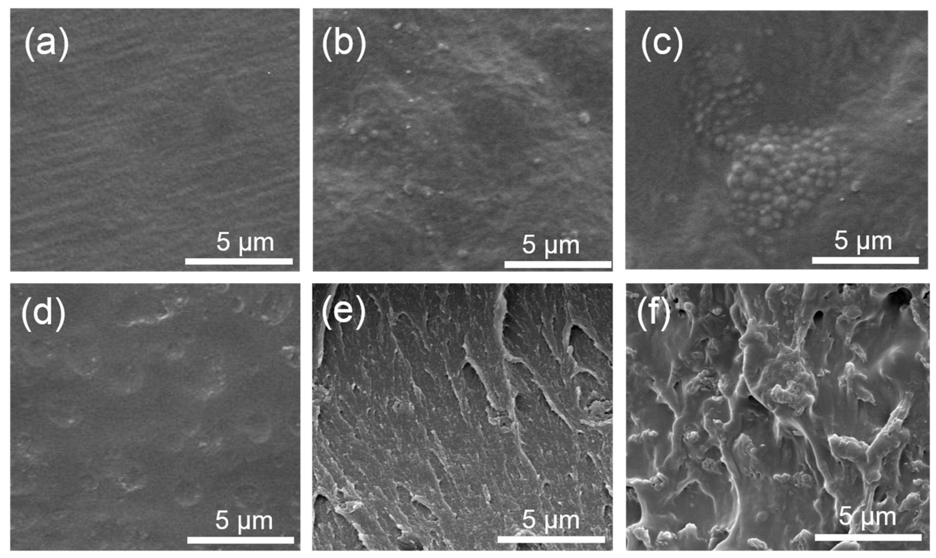 Polymers 15 01959 g003 Polymers 15 01959 g003