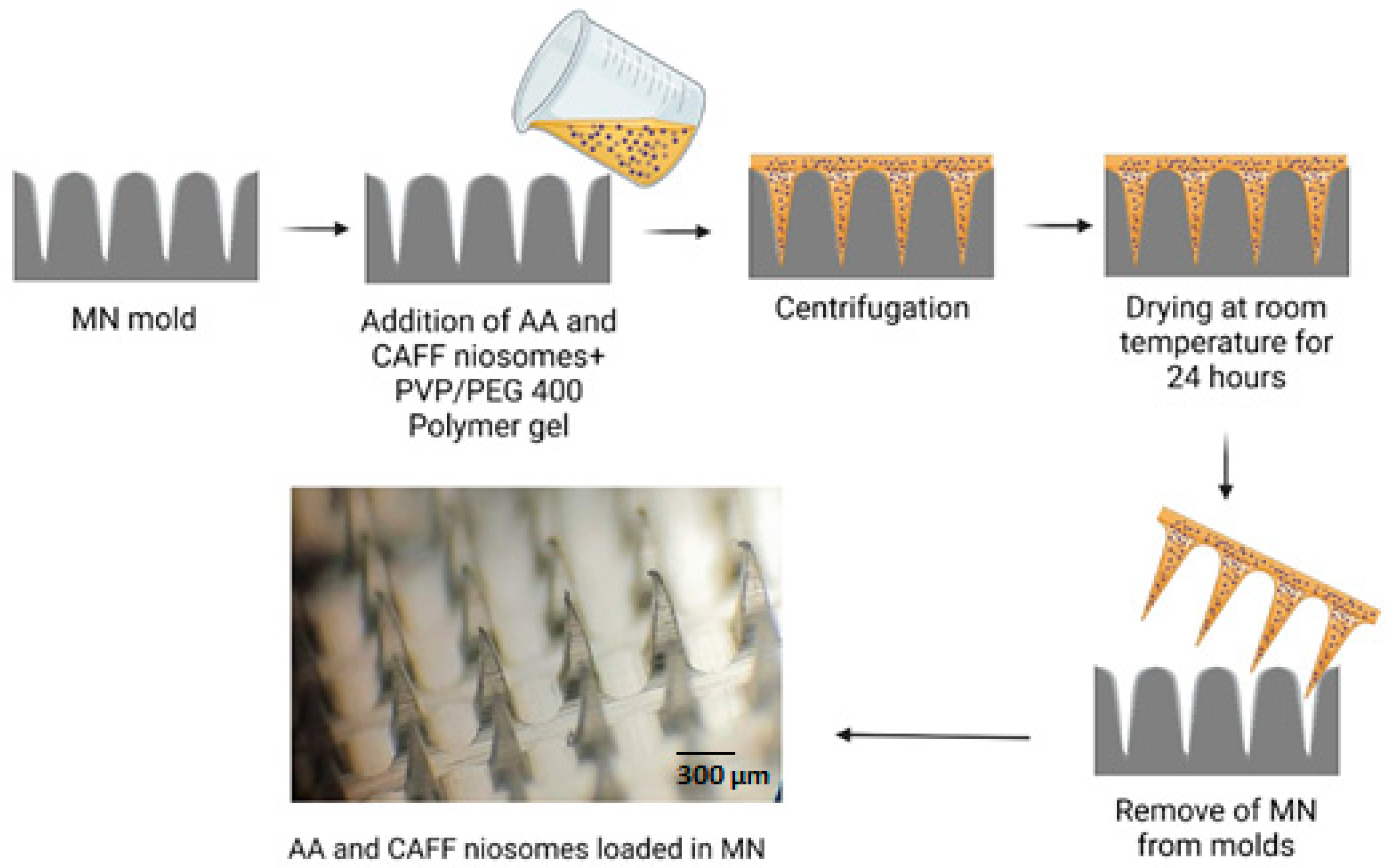Polymers 15 01962 g002 Polymers 15 01962 g002