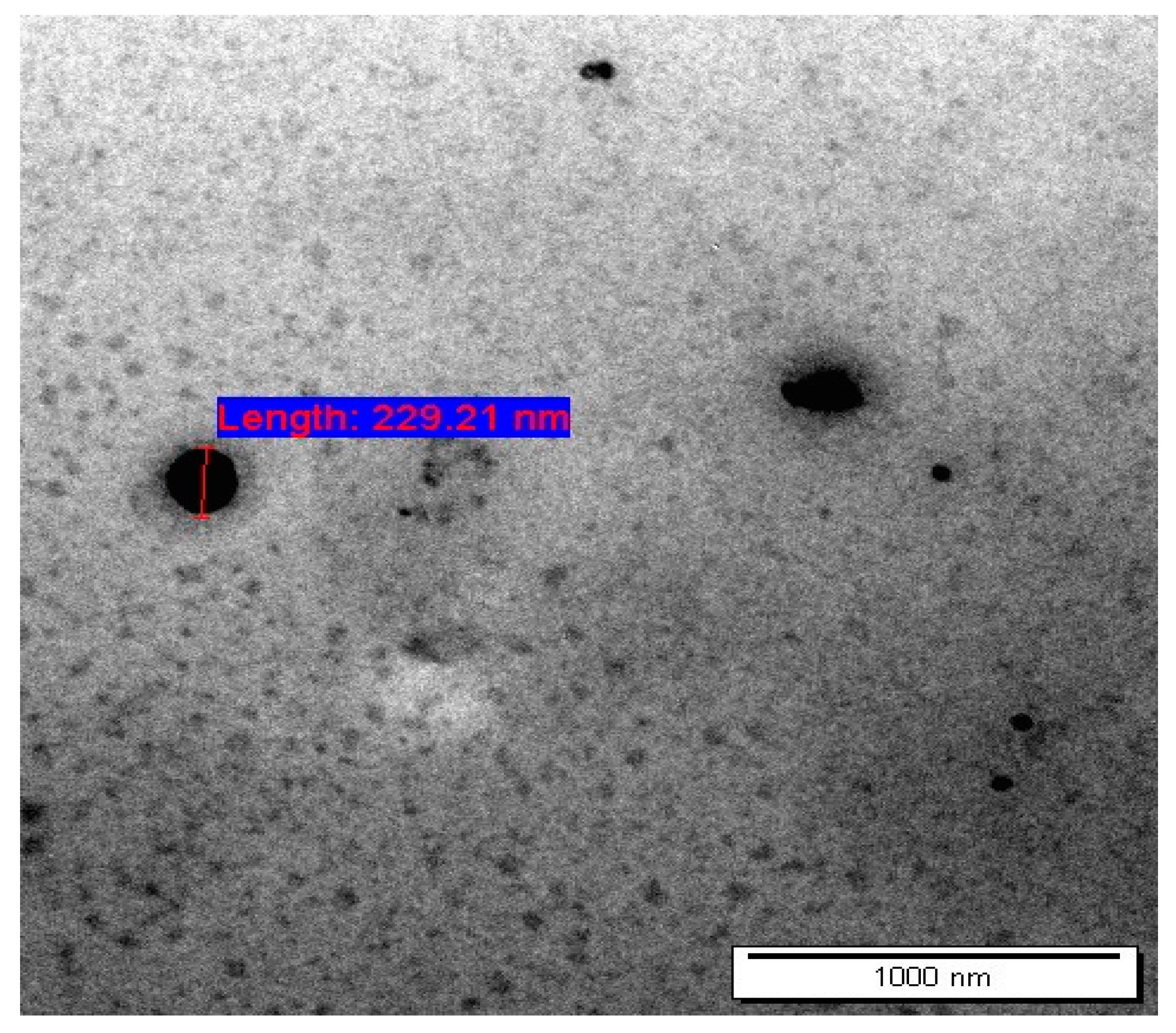Polymers 15 01962 g003 Polymers 15 01962 g003