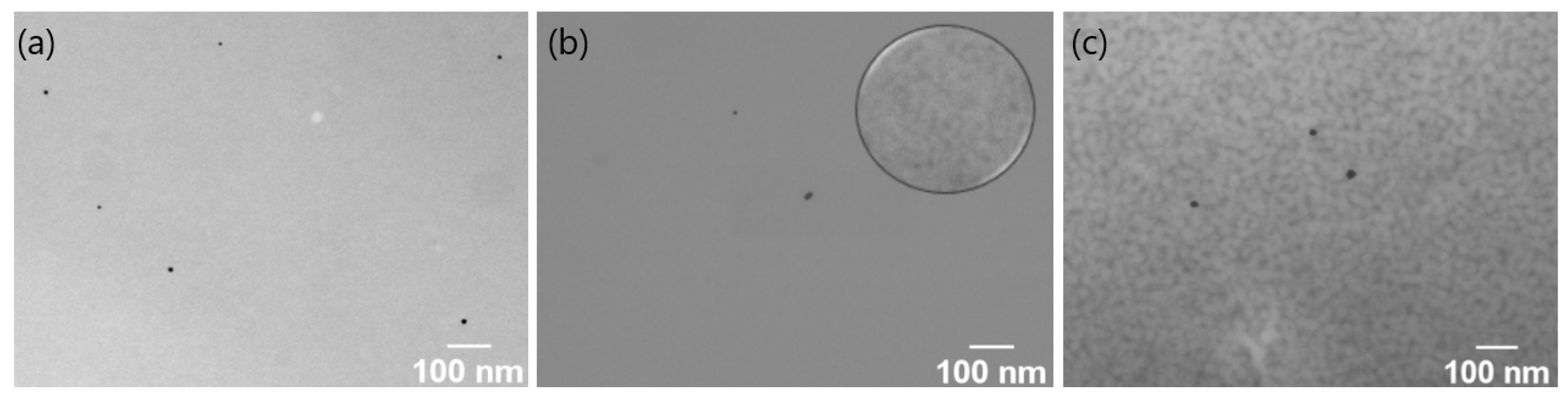 Polymers 15 01963 g006 Polymers 15 01963 g006