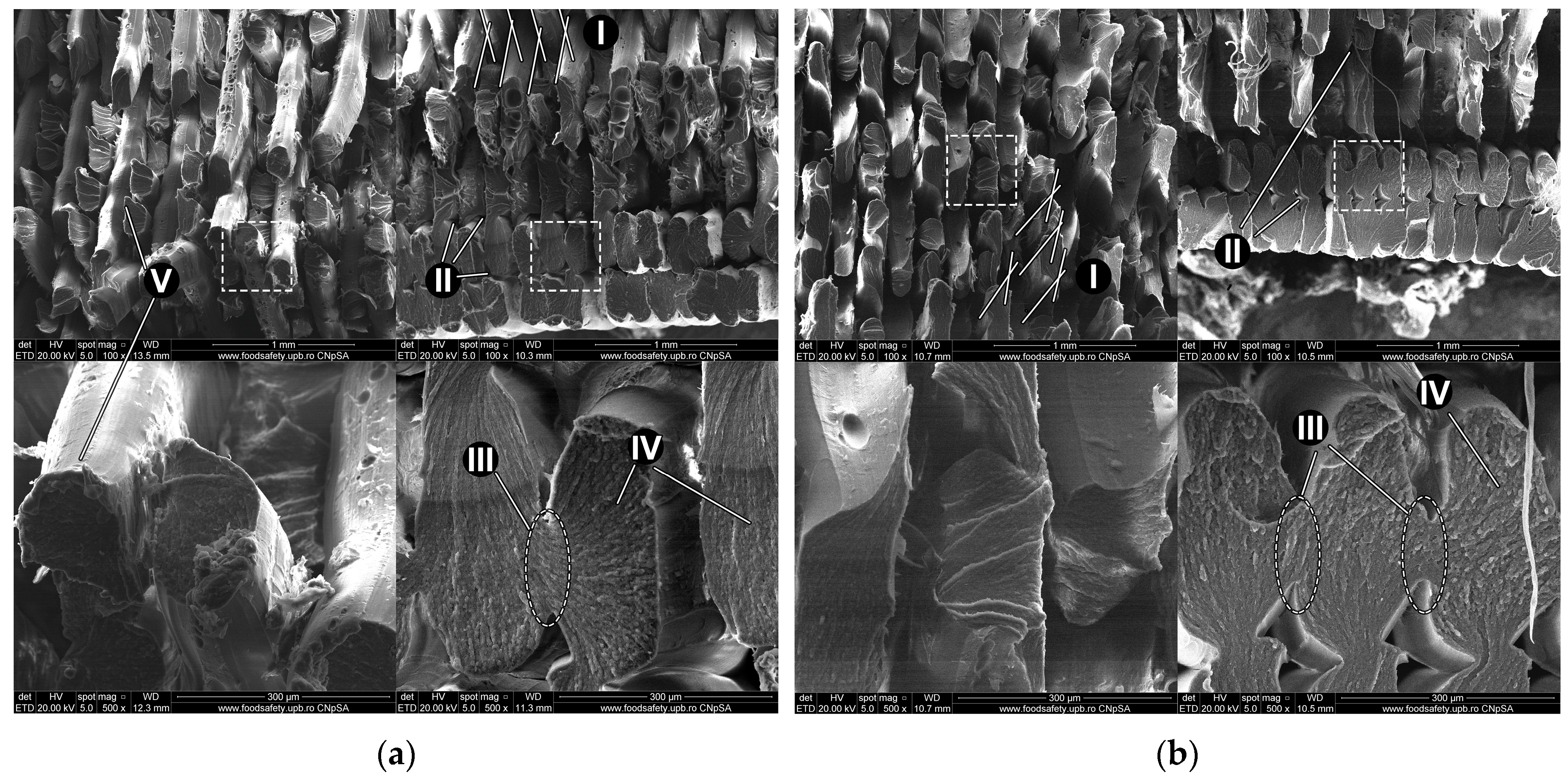 Polymers 15 01966 g008 Polymers 15 01966 g008