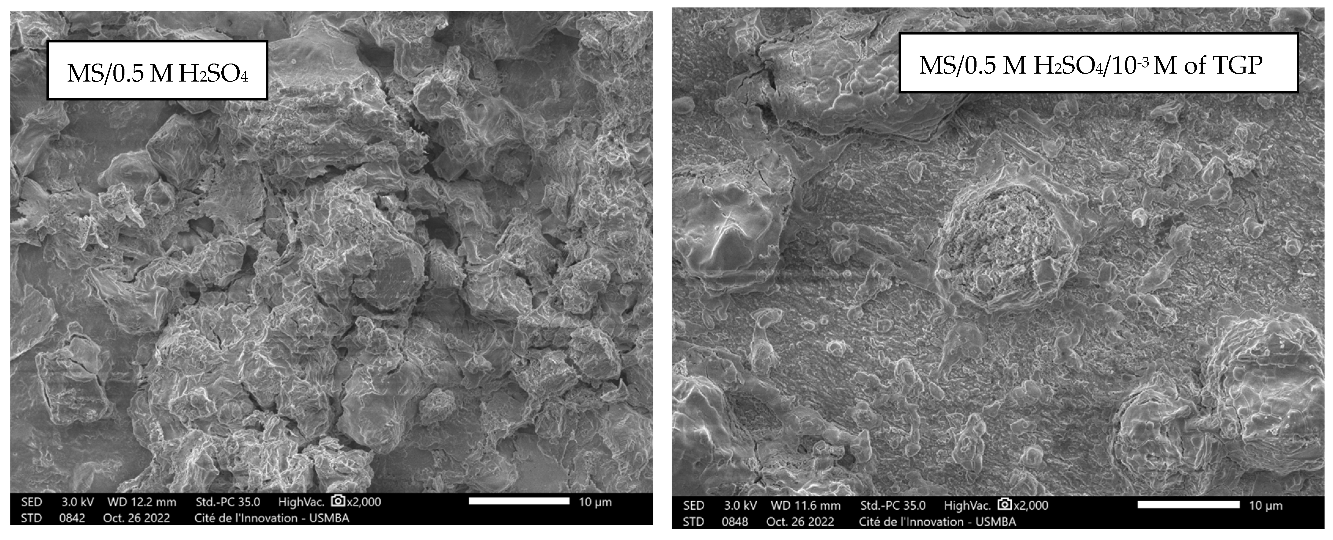 Polymers 15 01967 g003