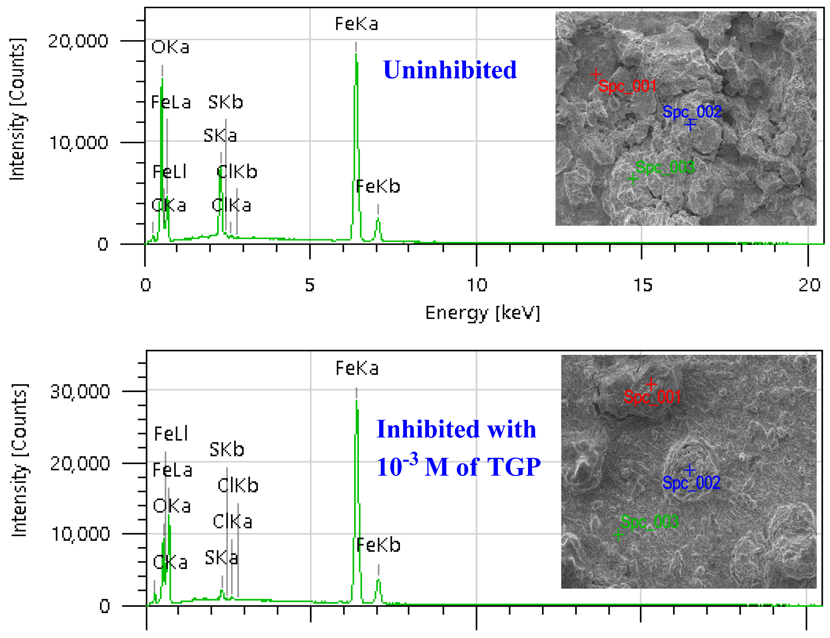 Polymers 15 01967 g004