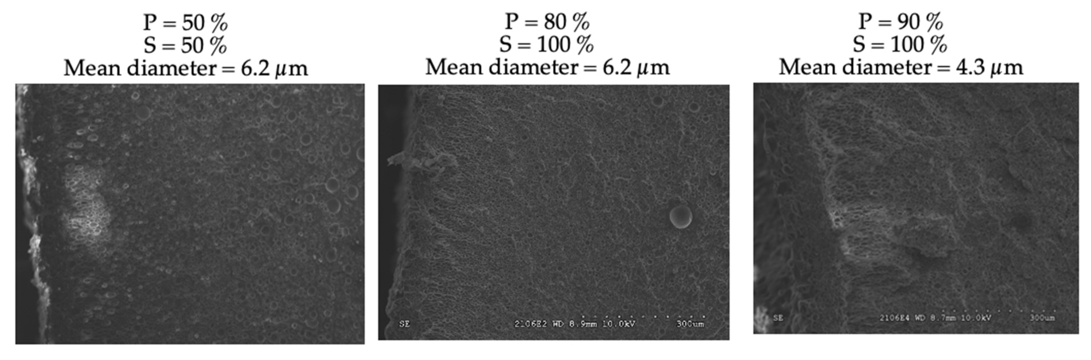 Polymers 15 01968 g005