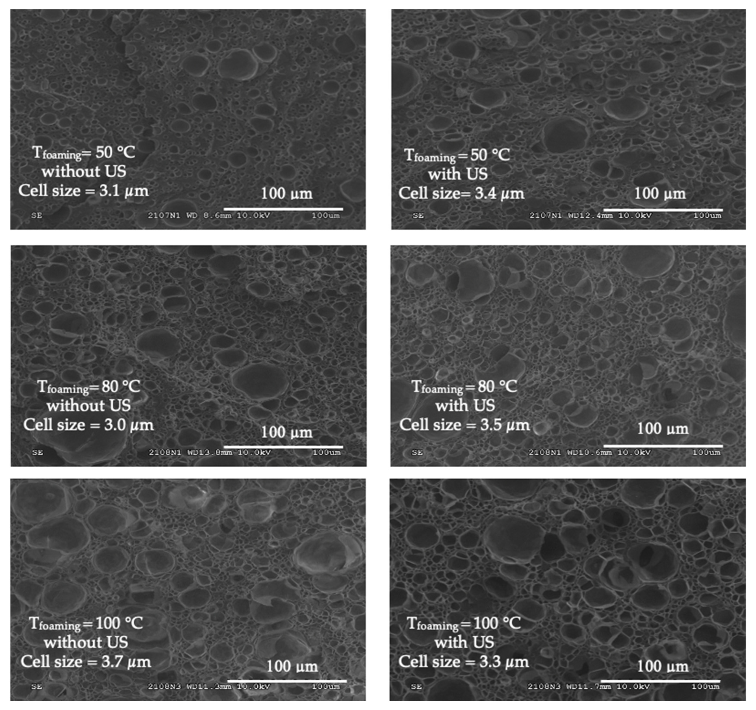Polymers 15 01968 g010