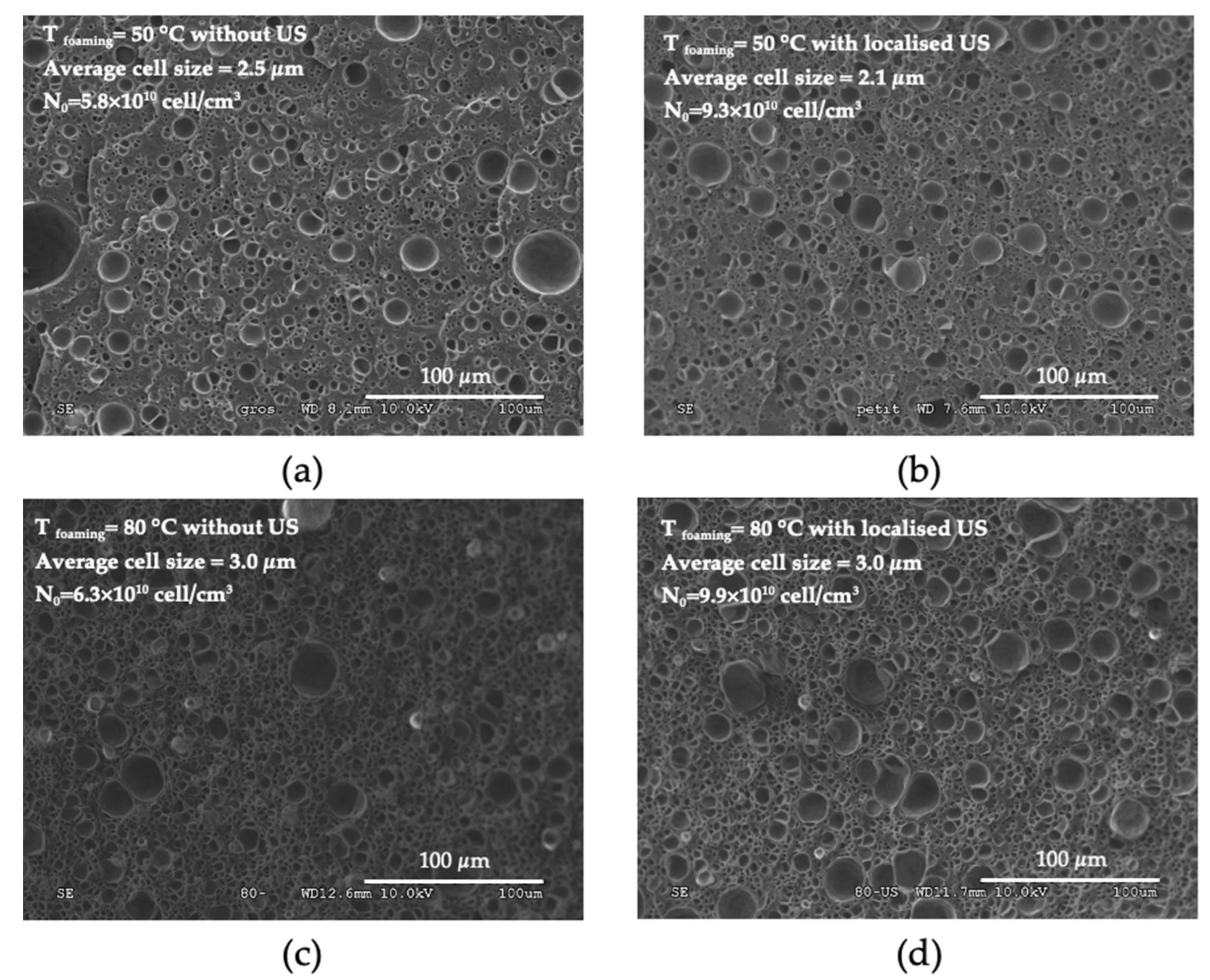 Polymers 15 01968 g014