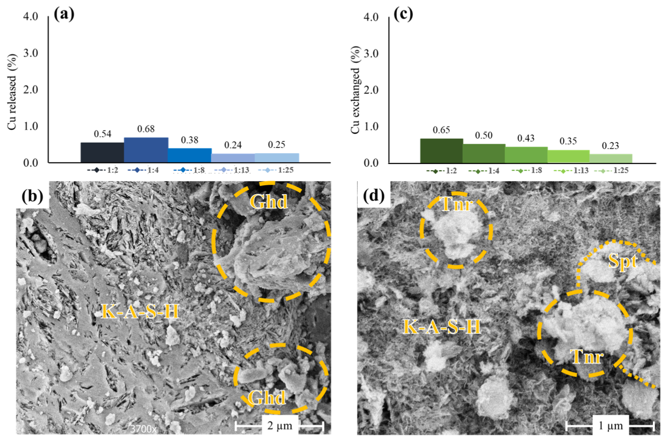 Polymers 15 01971 g005 Polymers 15 01971 g005