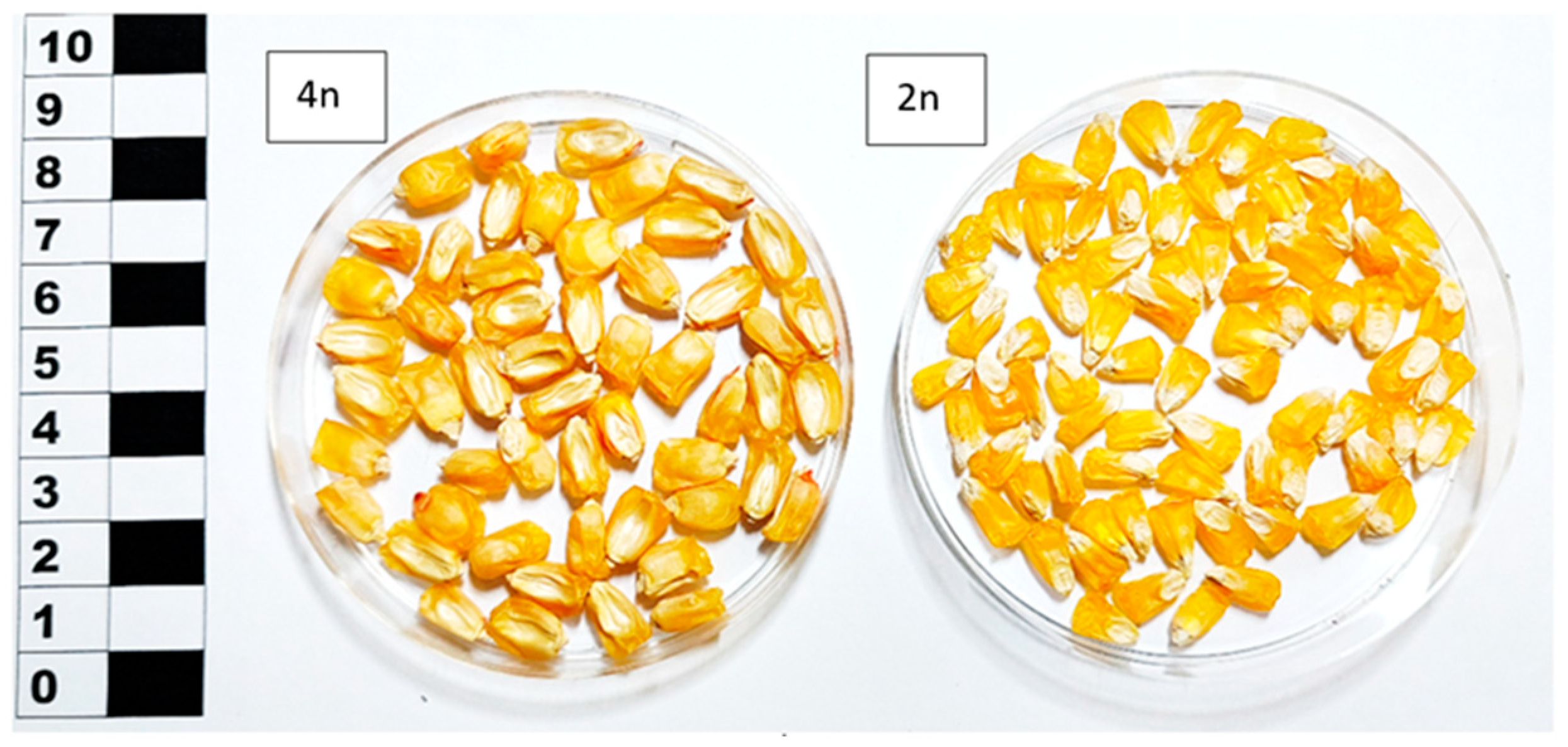 Polymers 15 01976 g001