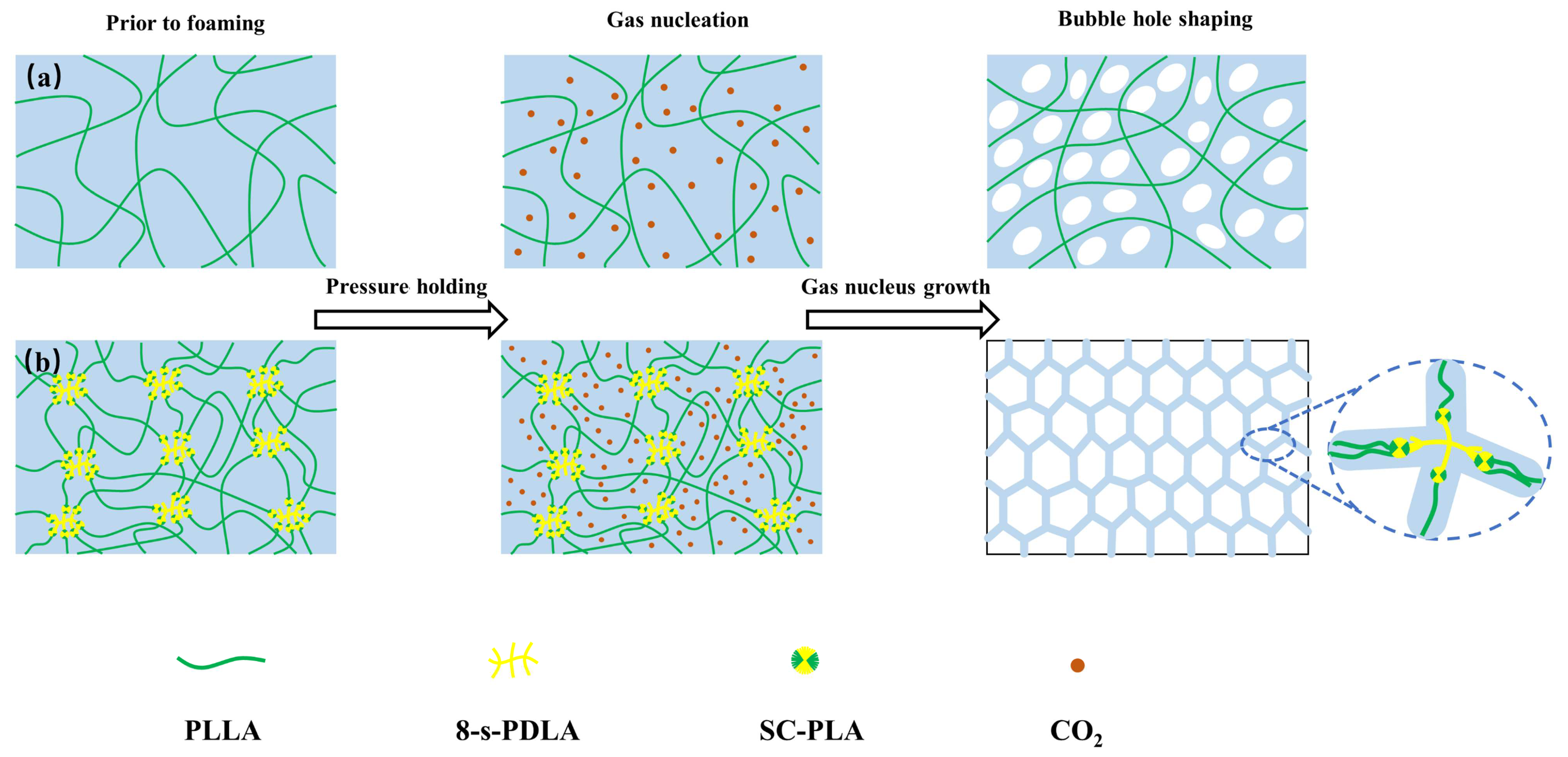 Polymers 15 01984 g007